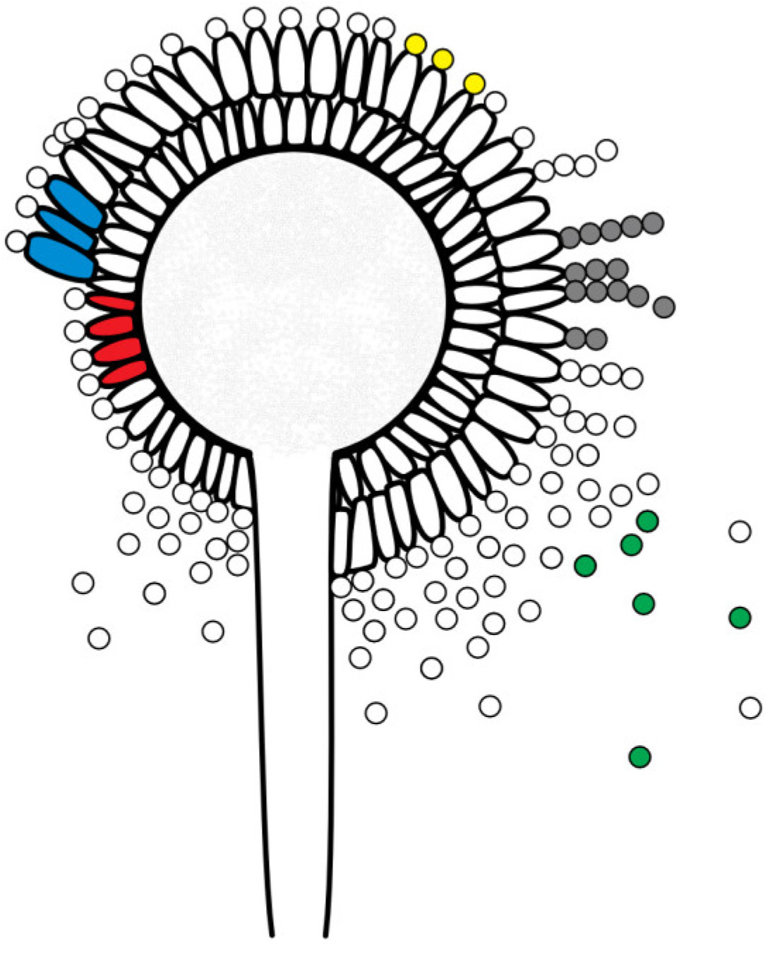 Preprints 145496 g001