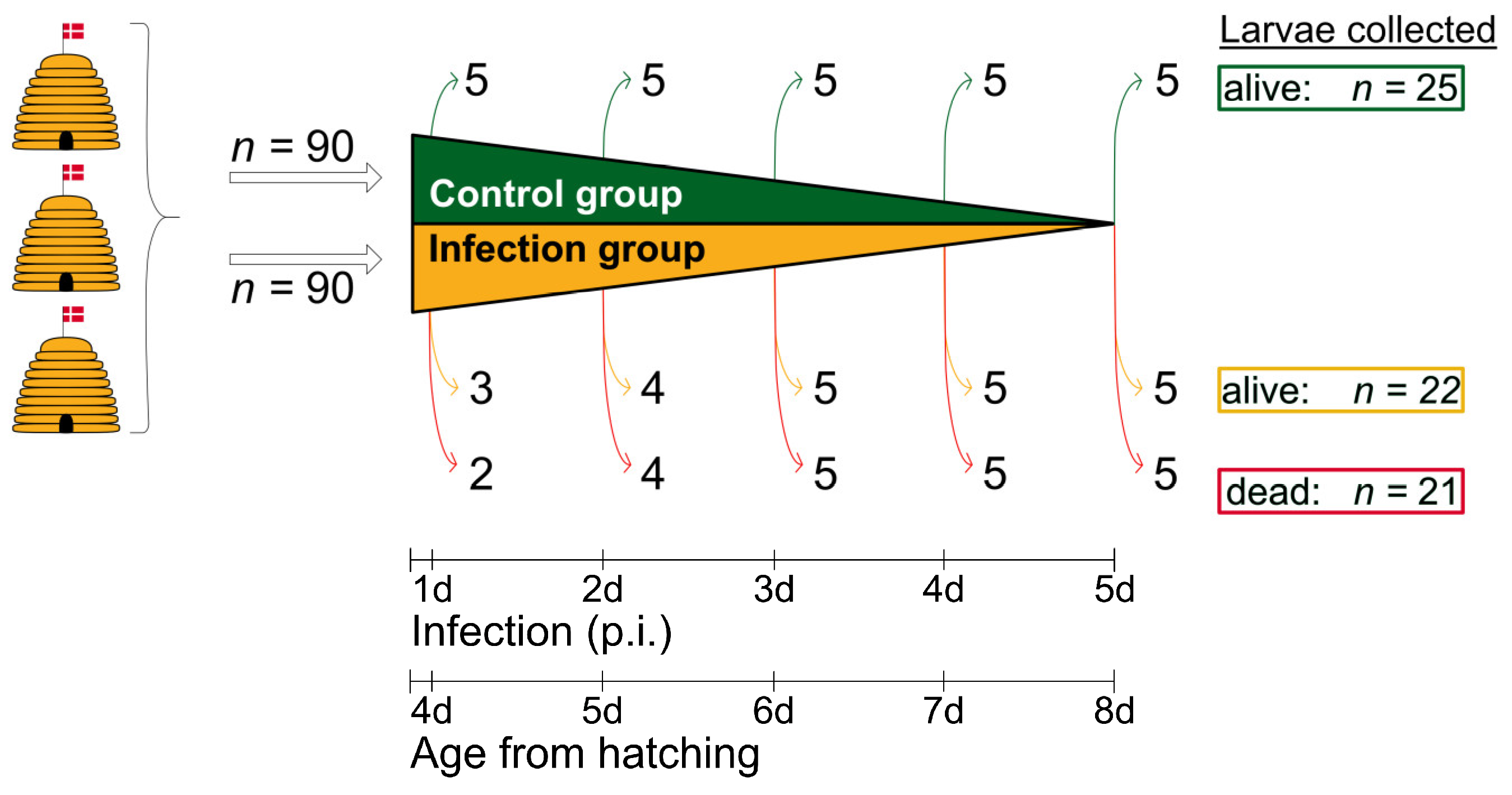 Preprints 145496 g002