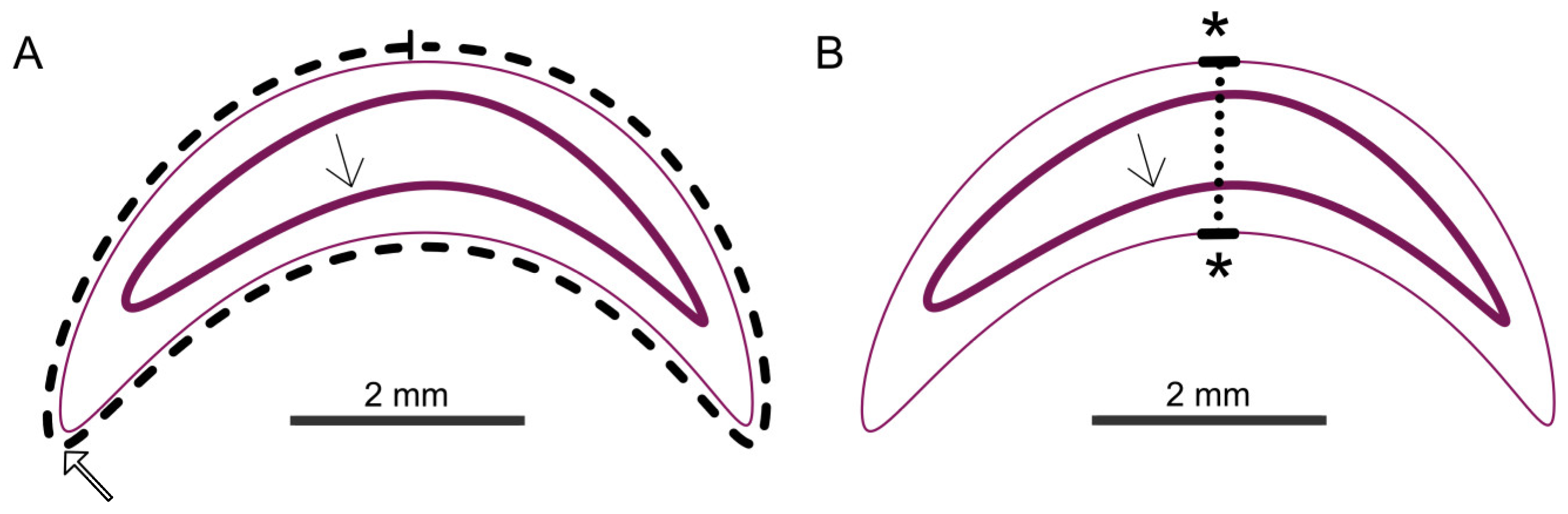 Preprints 145496 g003