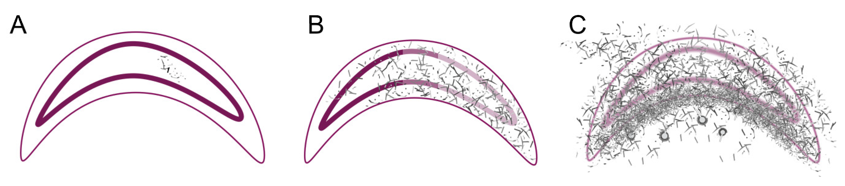 Preprints 145496 g007