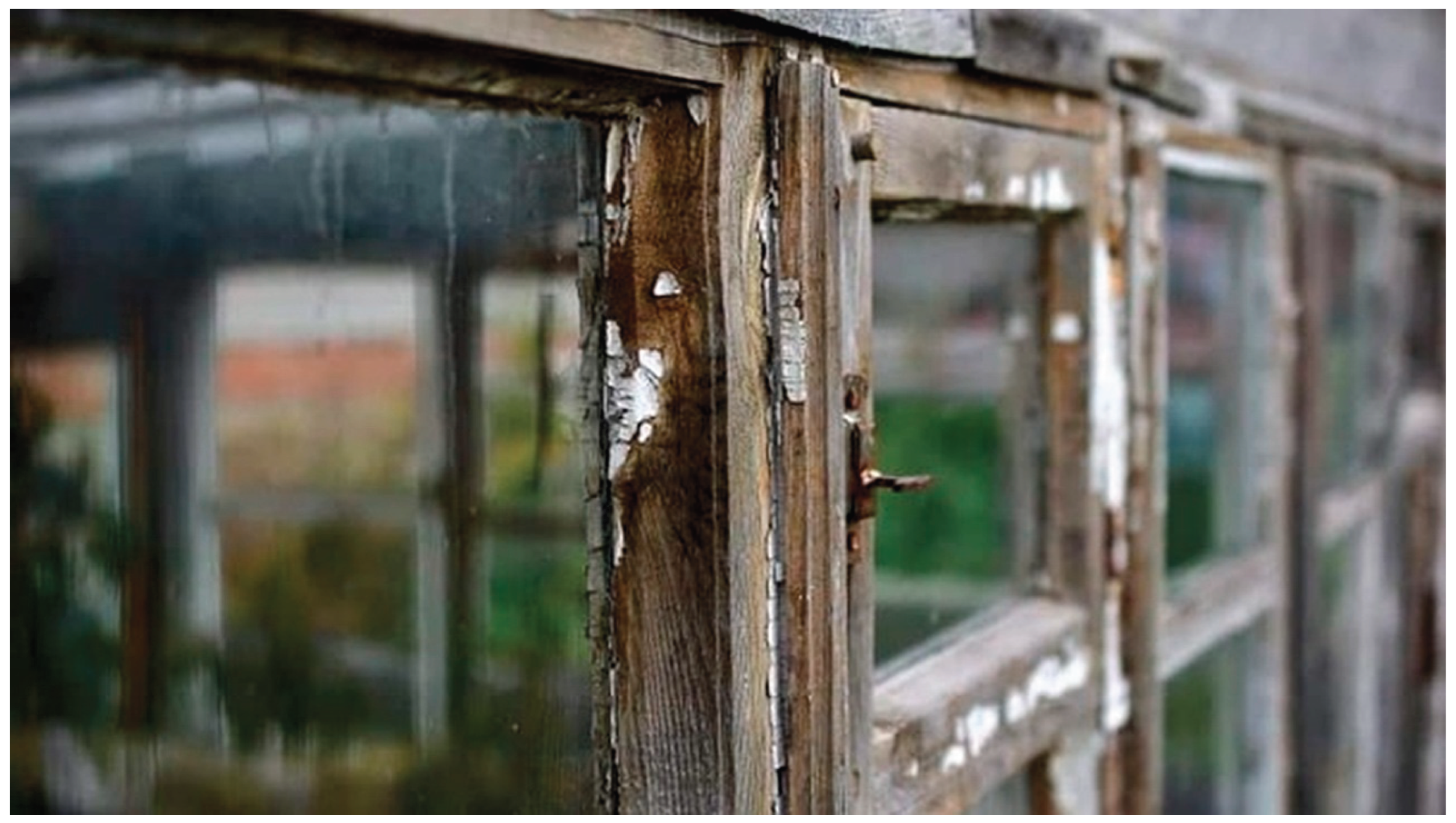 Preprints 207483 g001 Preprints 207483 g001