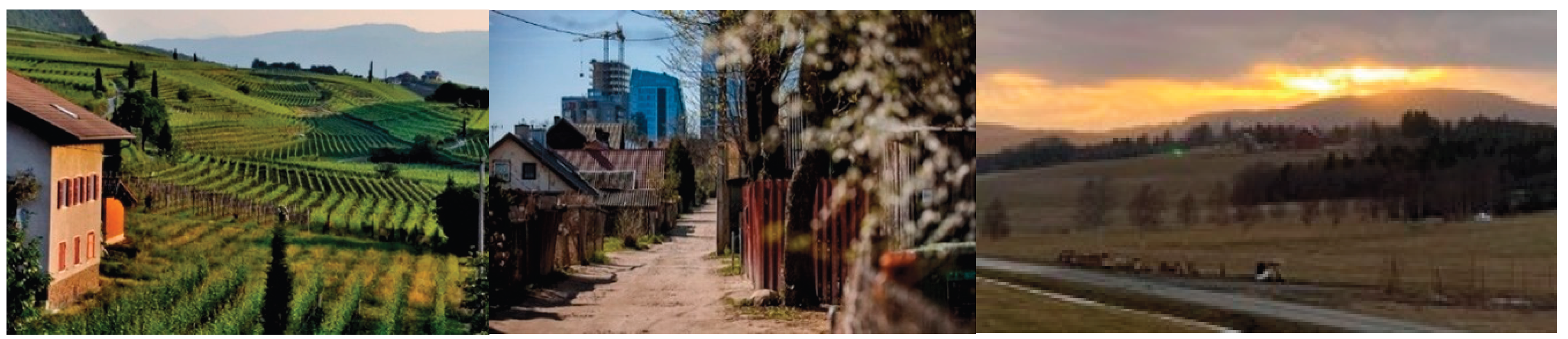 Preprints 207483 g003 Preprints 207483 g003