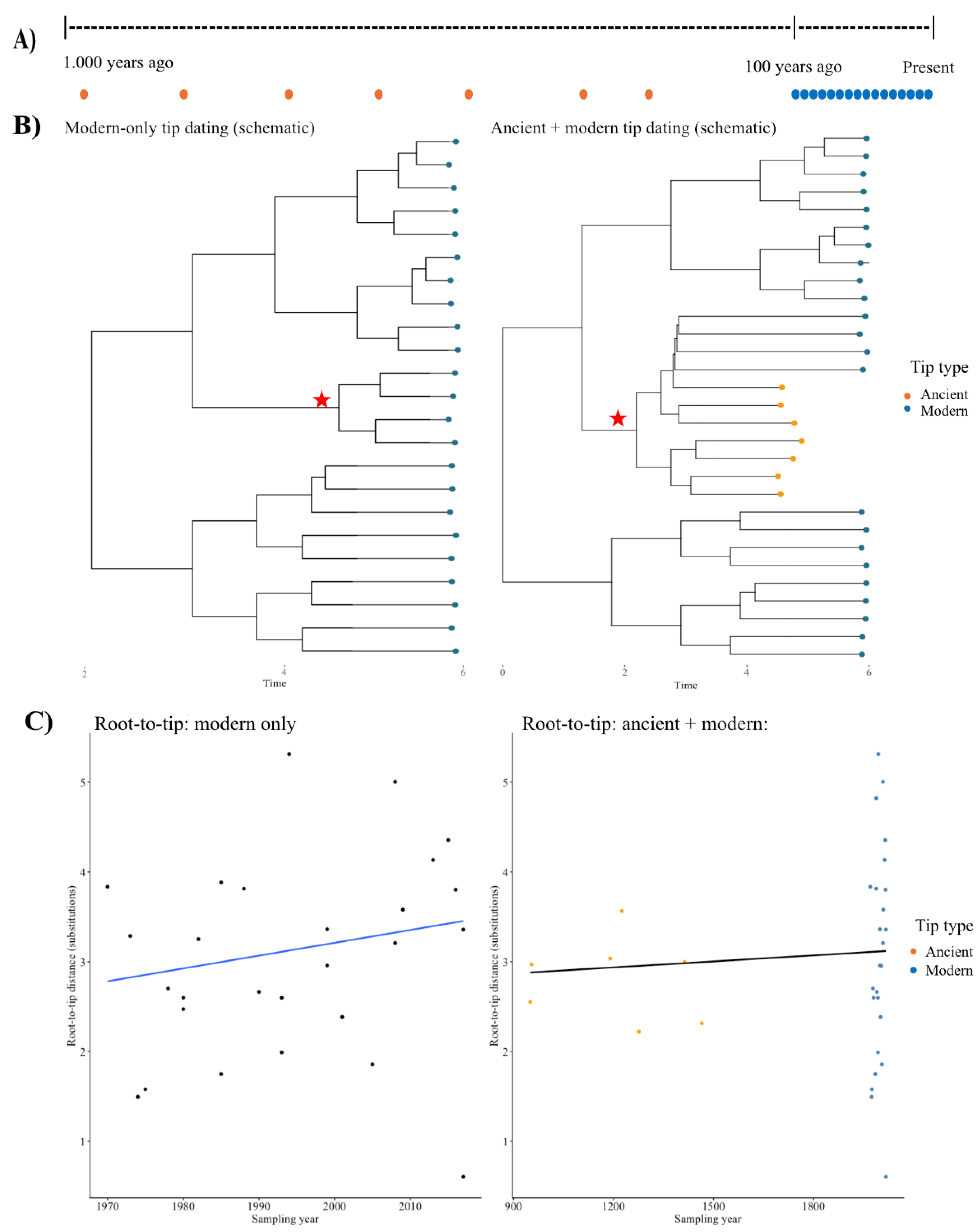 Preprints 200666 g002 Preprints 200666 g002