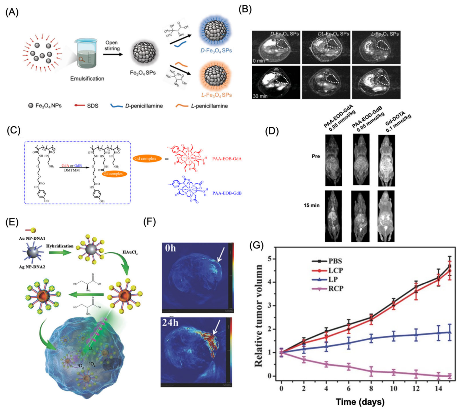 Preprints 227508 g012 Preprints 227508 g012