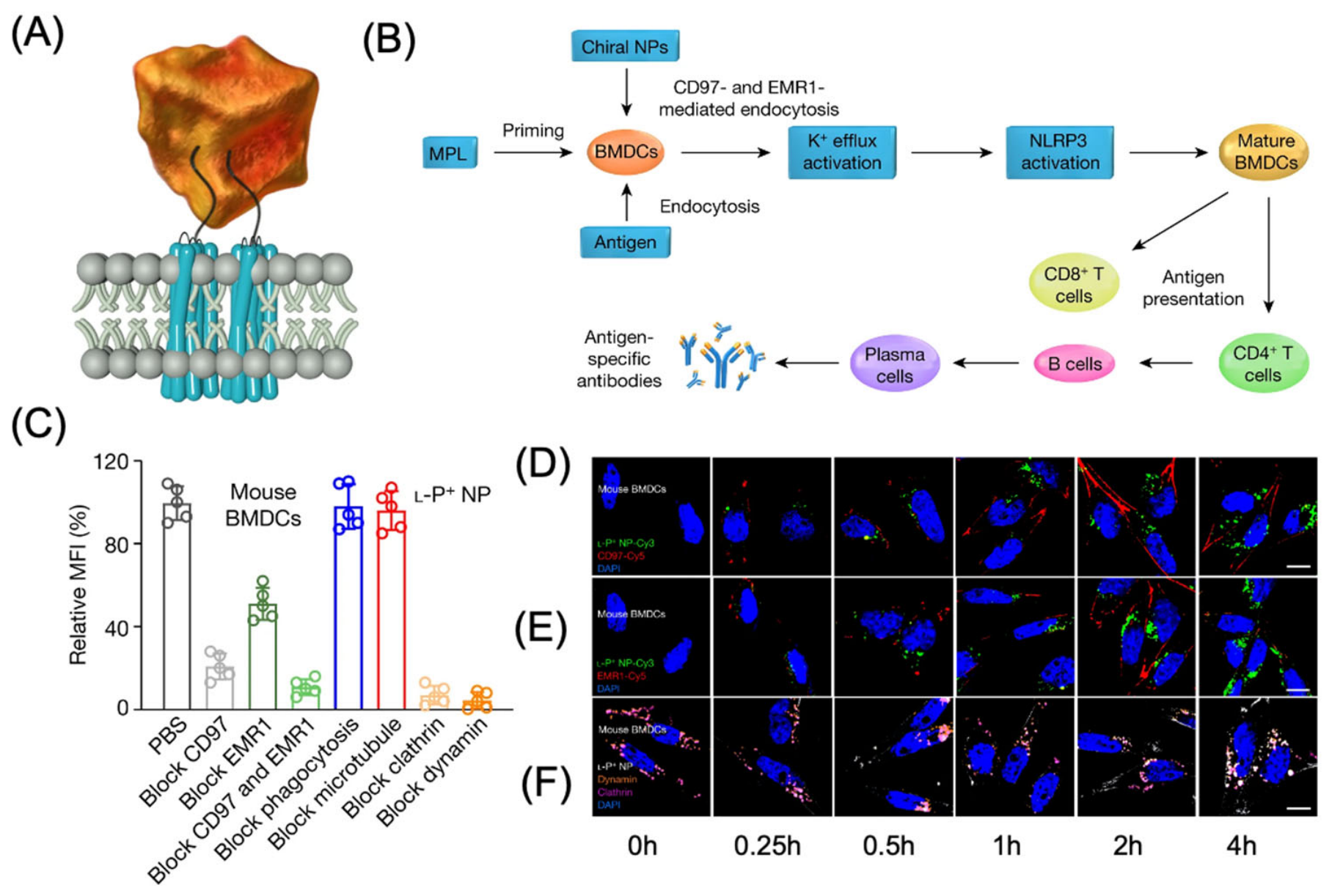 Preprints 227508 g015 Preprints 227508 g015