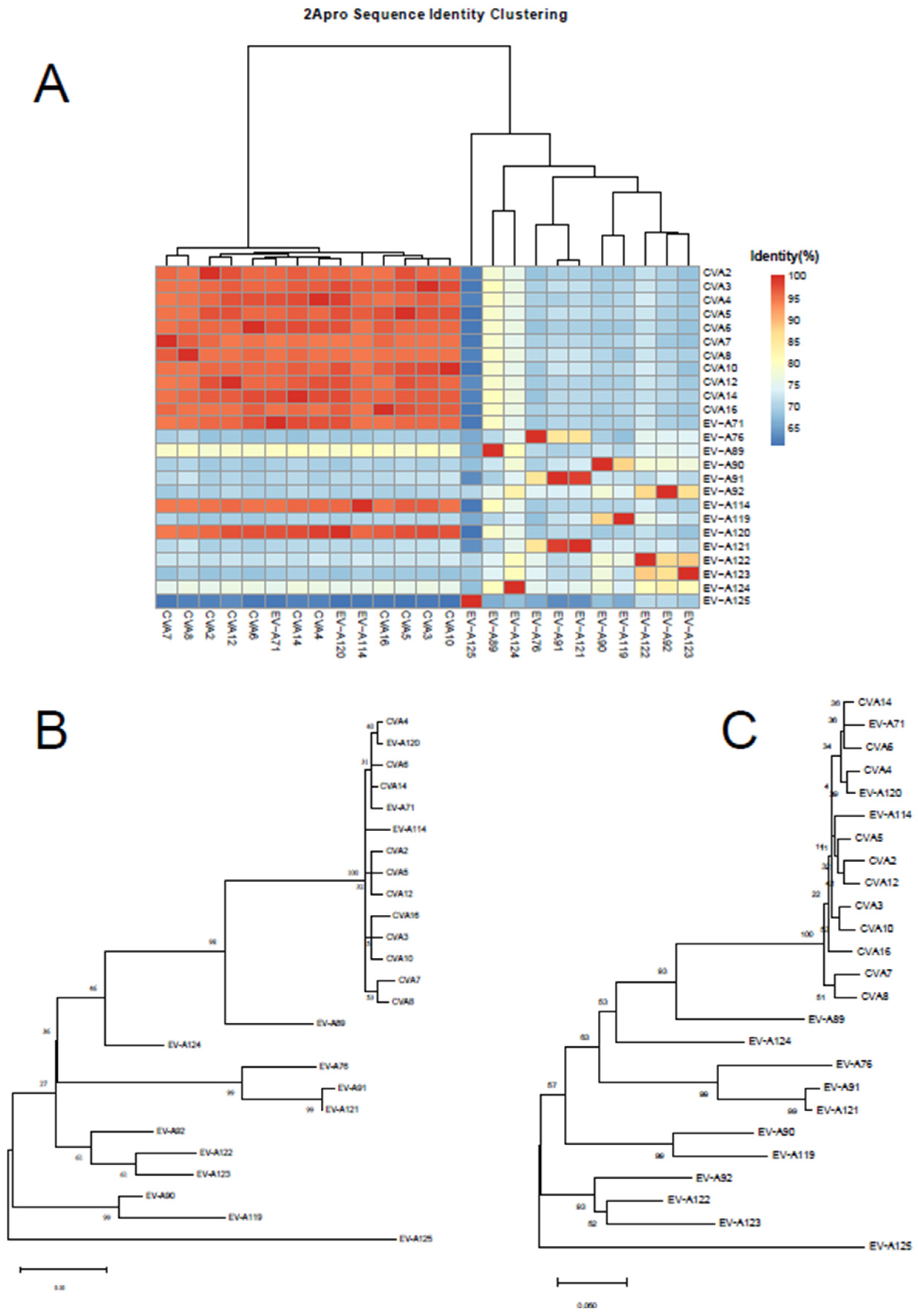 Preprints 203588 g001 Preprints 203588 g001