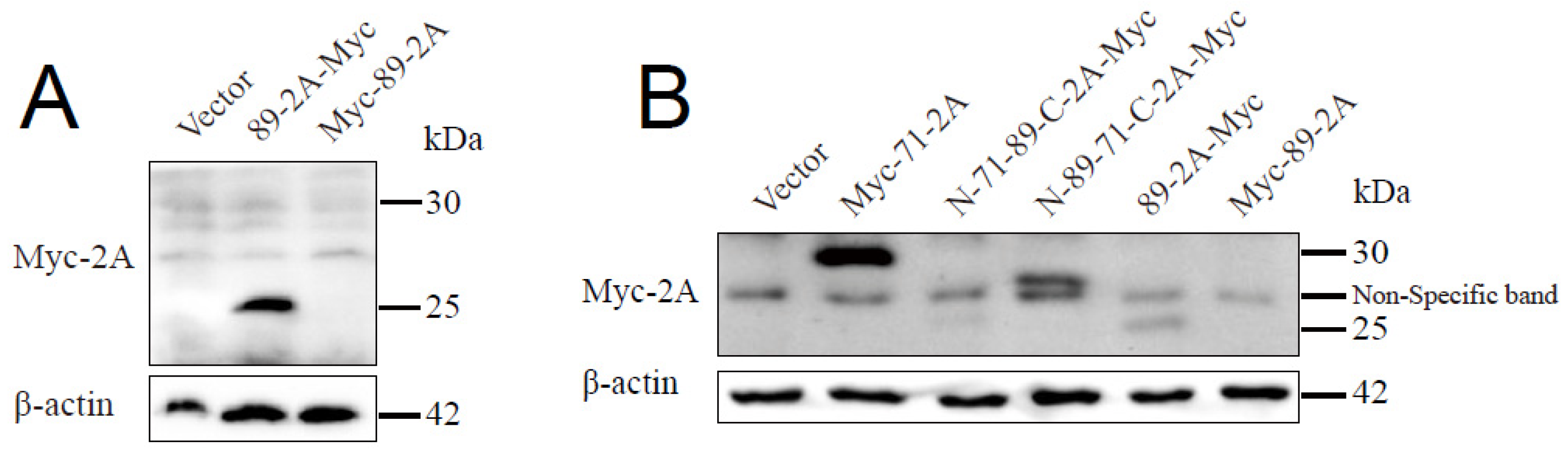 Preprints 203588 g007 Preprints 203588 g007