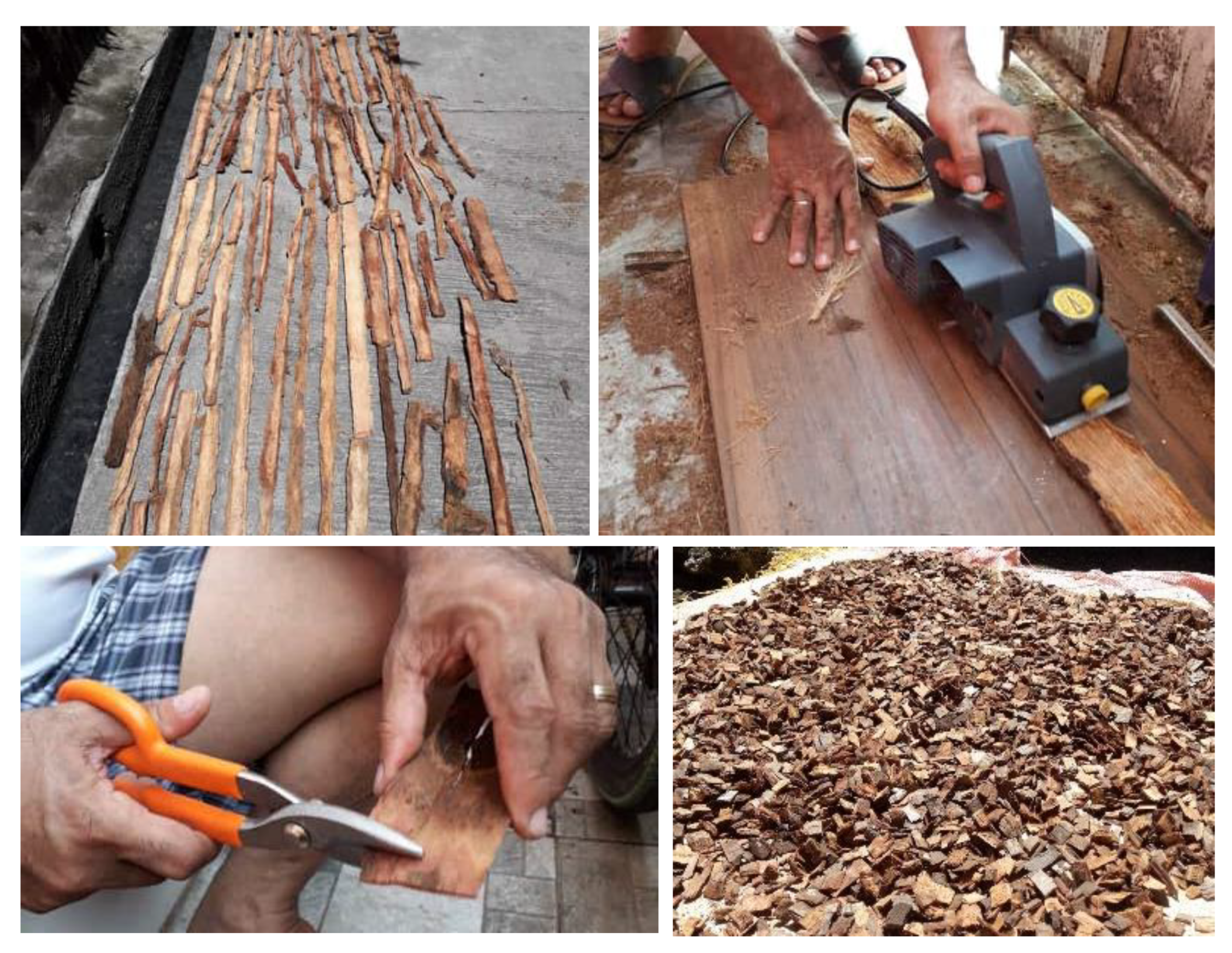 Preprints 81234 g002