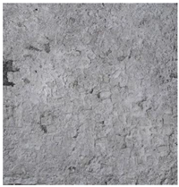 Preprints 81234 i001