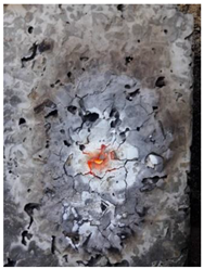 Preprints 81234 i005