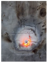 Preprints 81234 i006