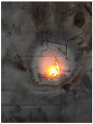 Preprints 81234 i007