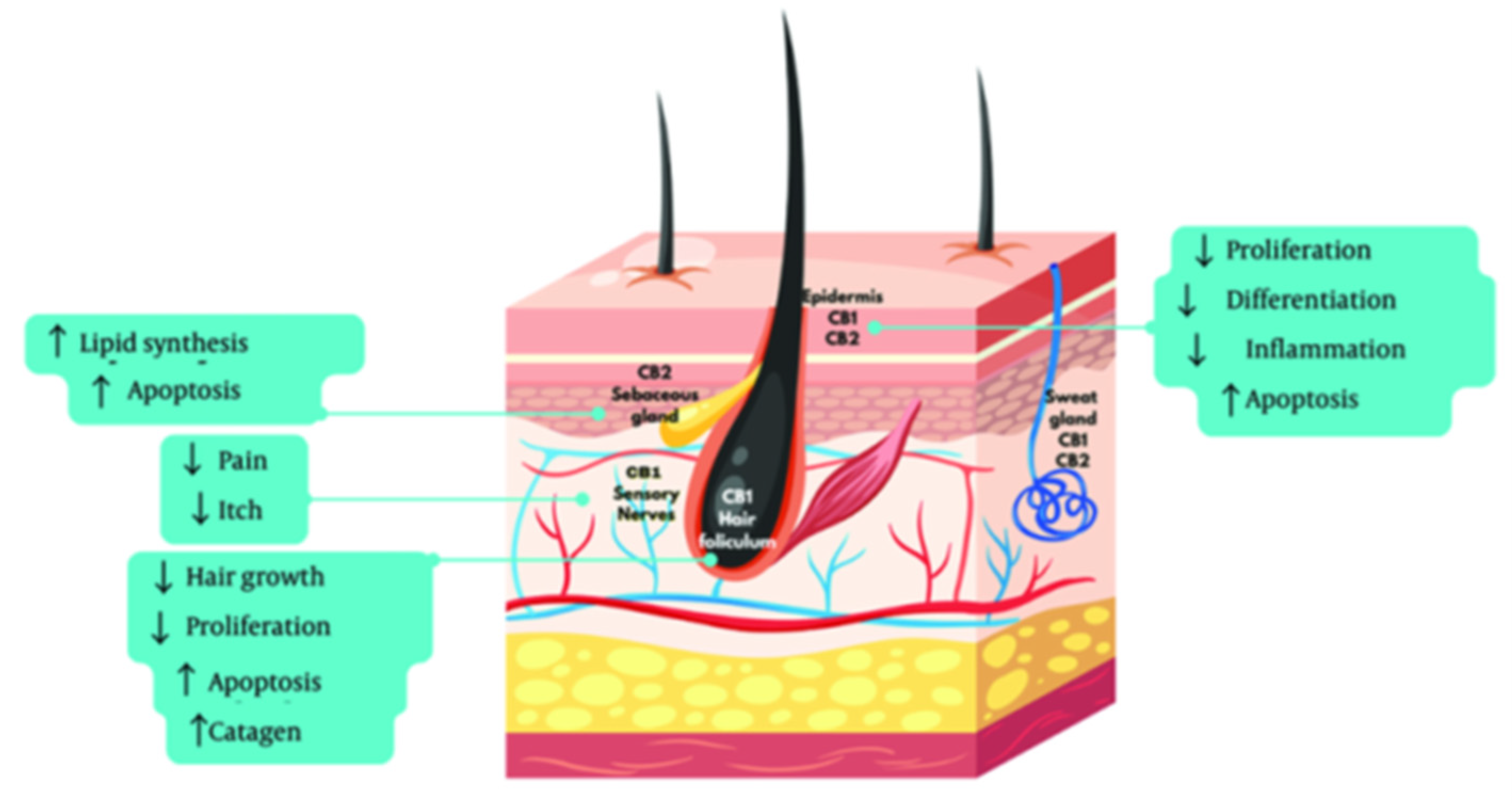 Preprints 187588 g003