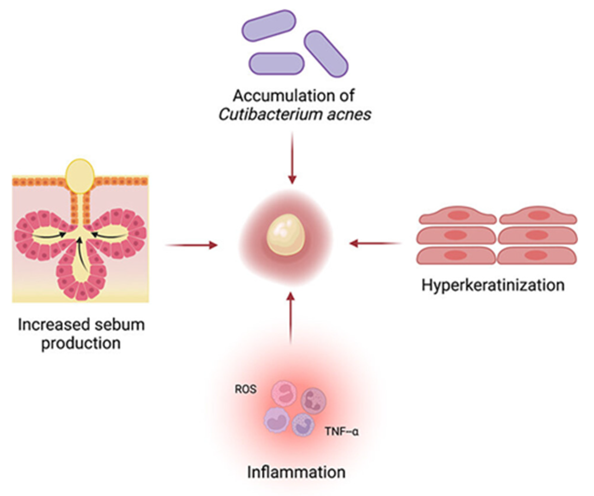 Preprints 187588 g004