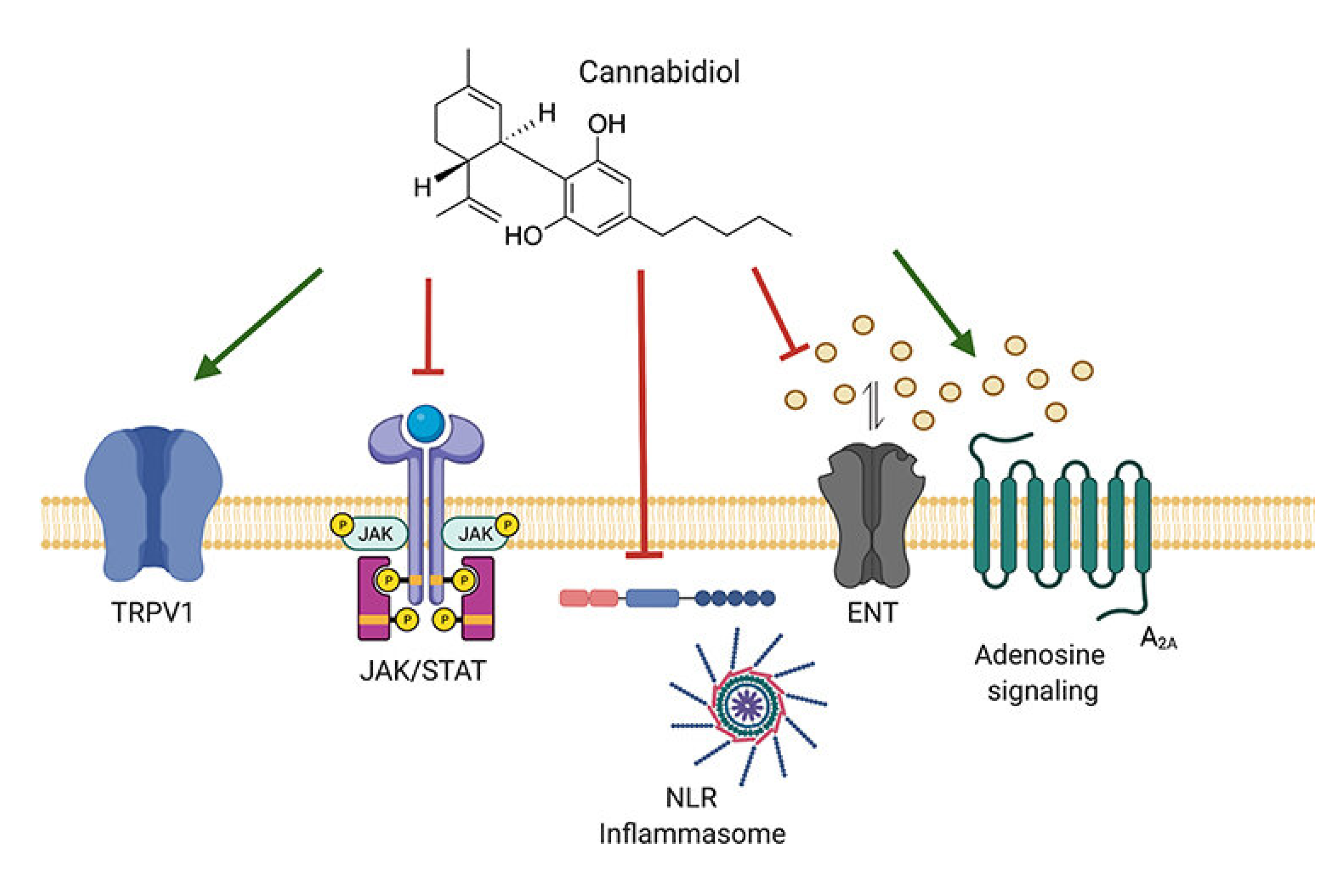 Preprints 187588 g006