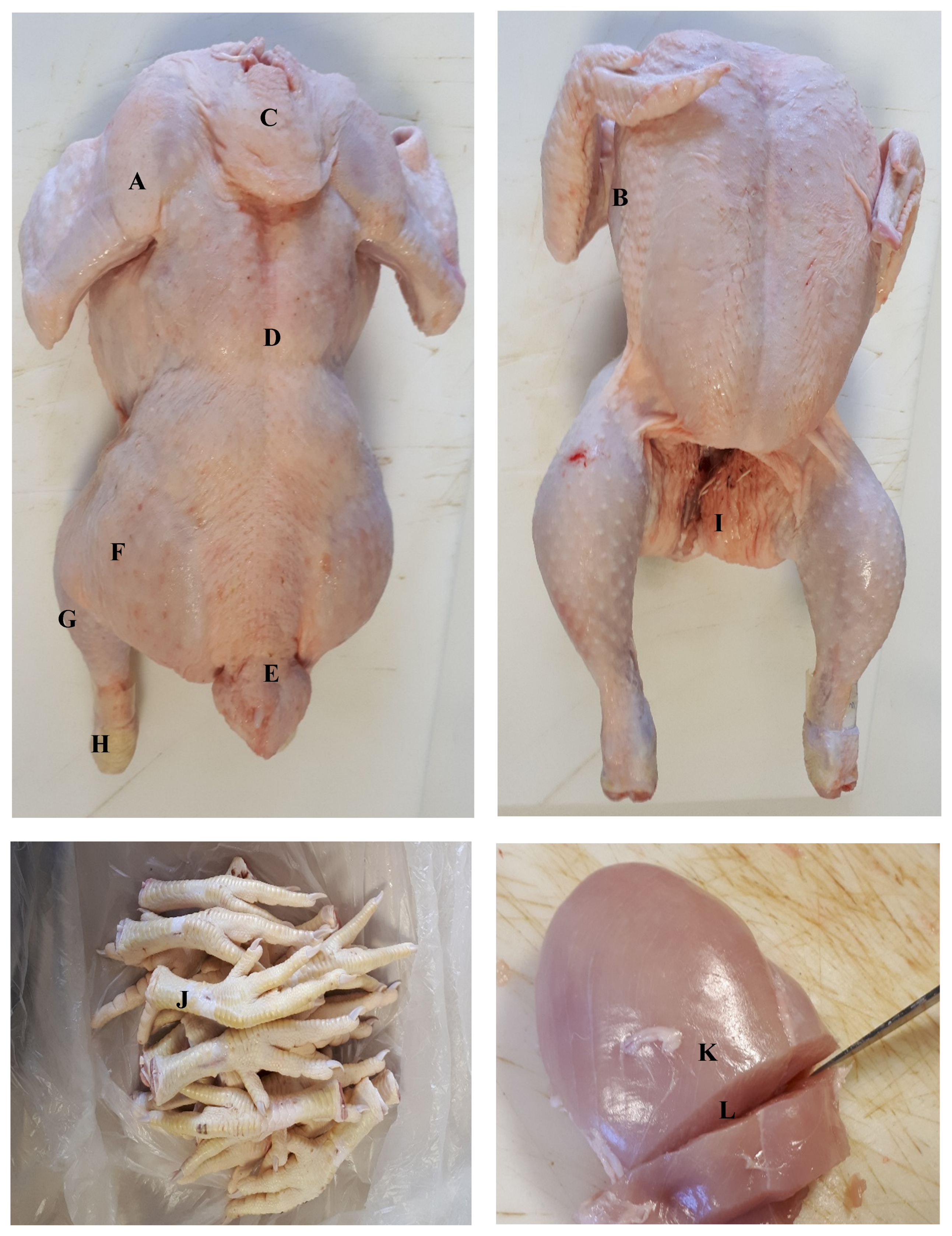 Preprints 156808 g001