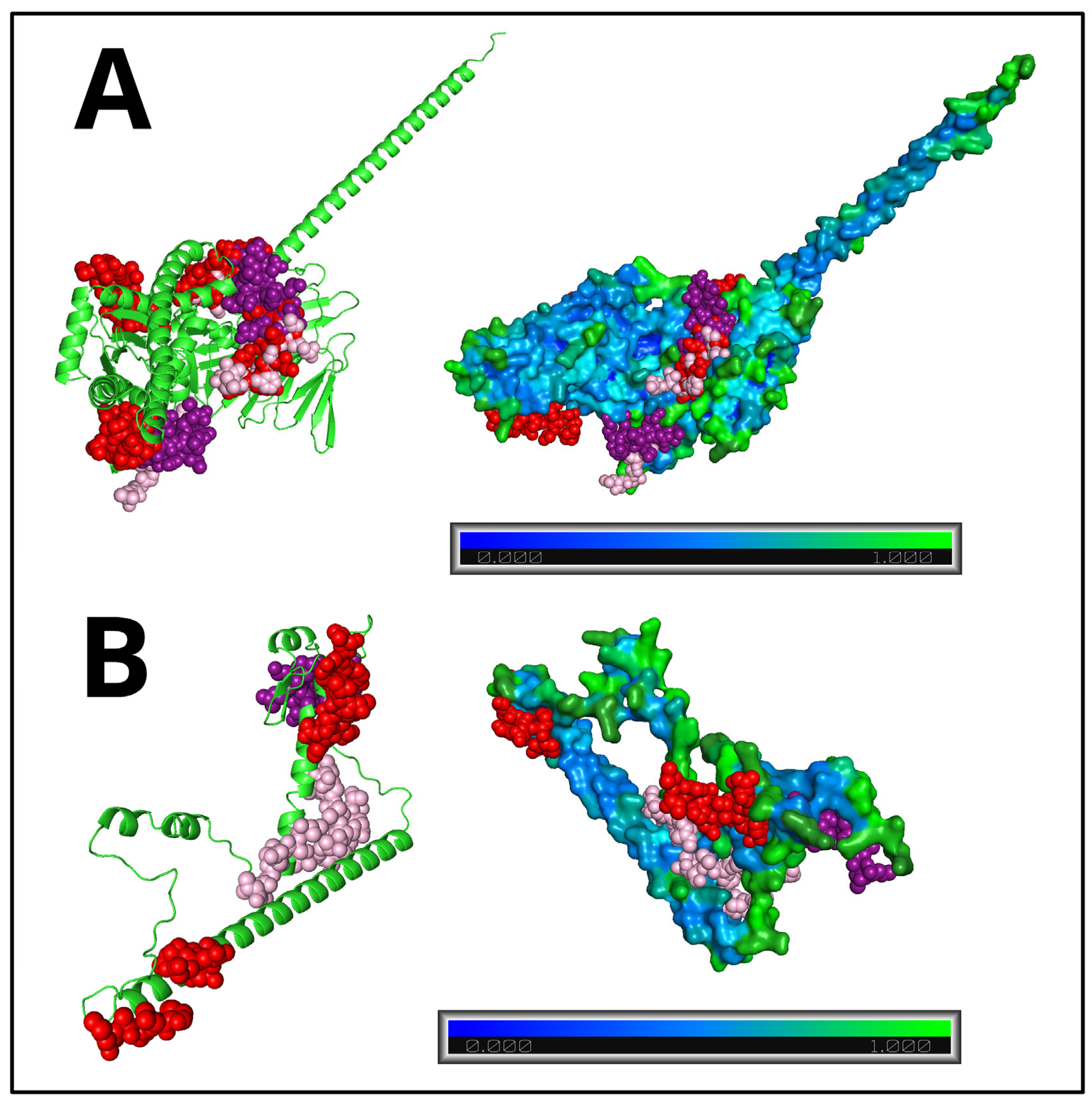 Preprints 230530 g006 Preprints 230530 g006