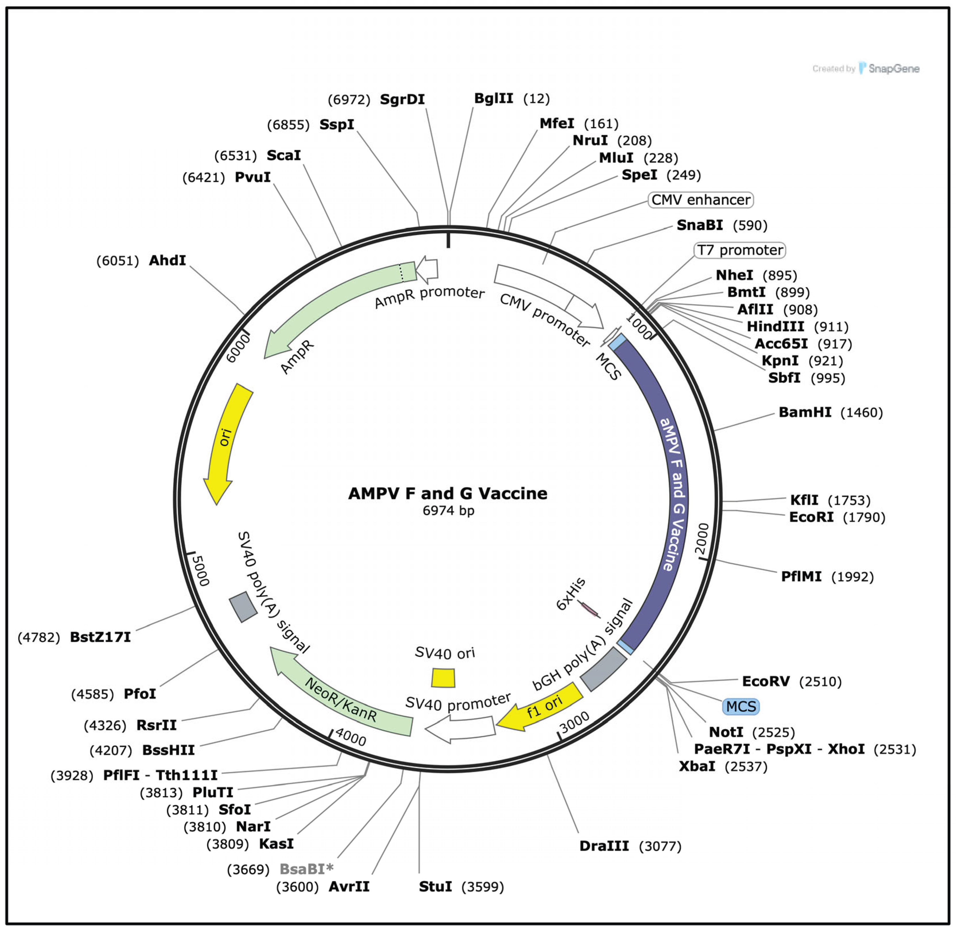Preprints 230530 g013 Preprints 230530 g013