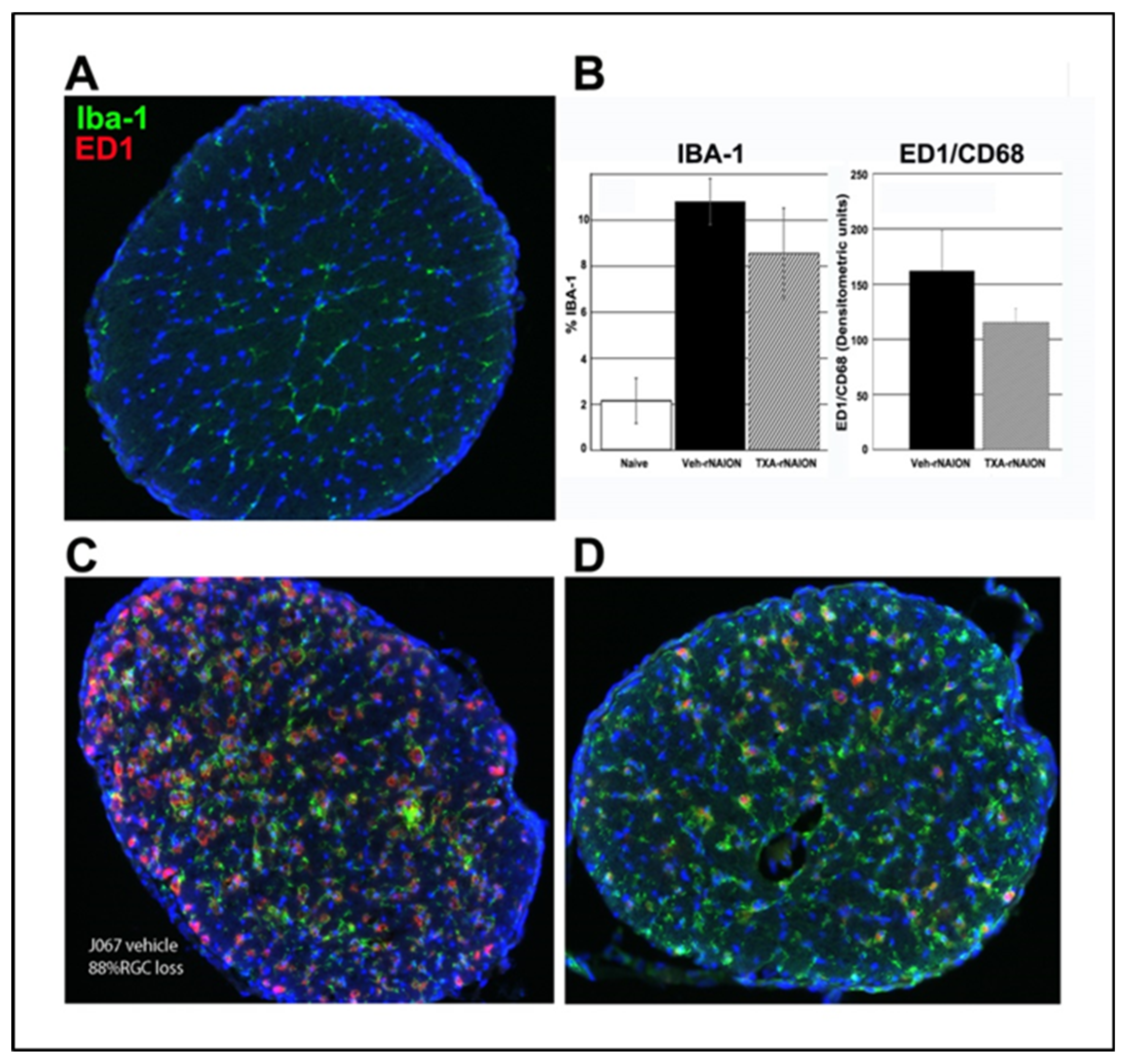 Preprints 143821 g005