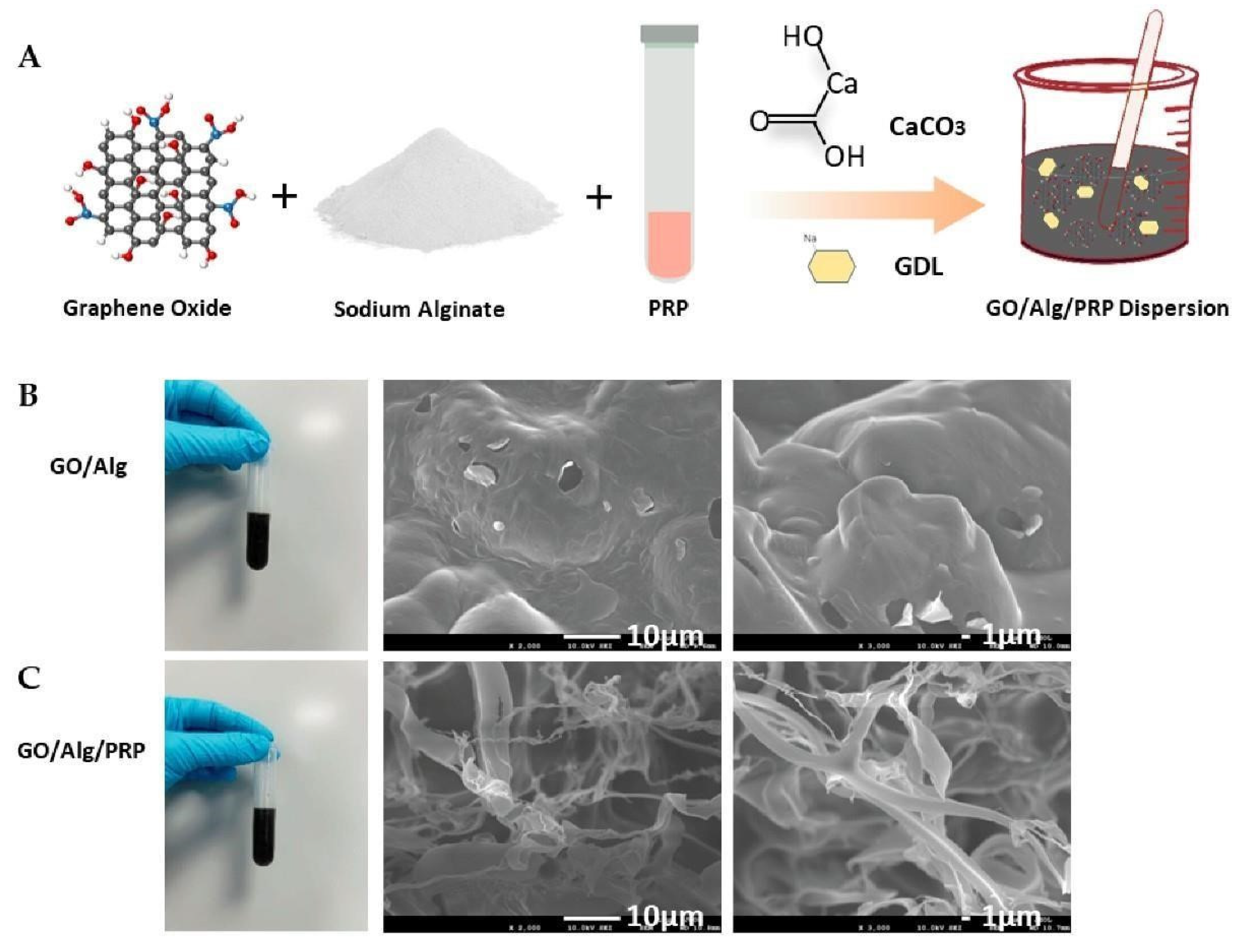 Preprints 146287 g001