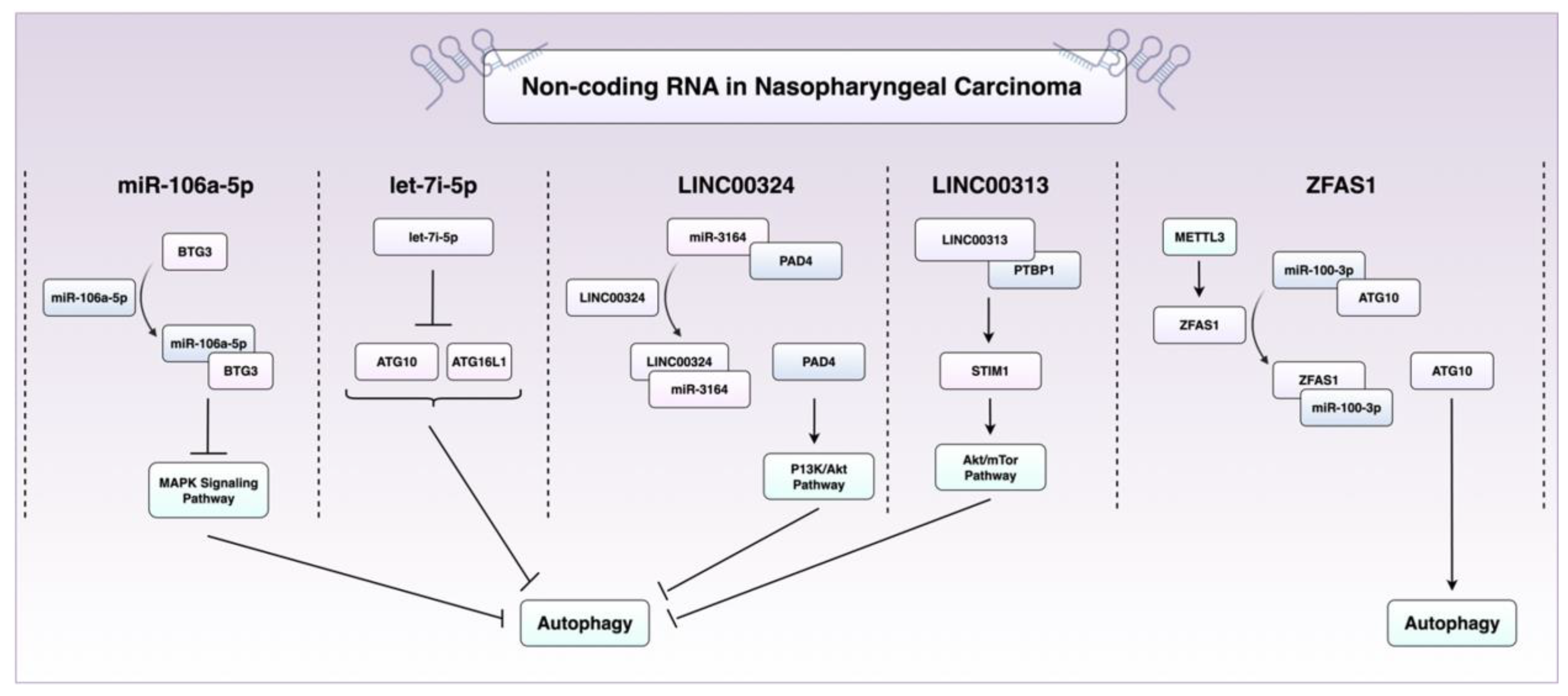Preprints 168394 g003
