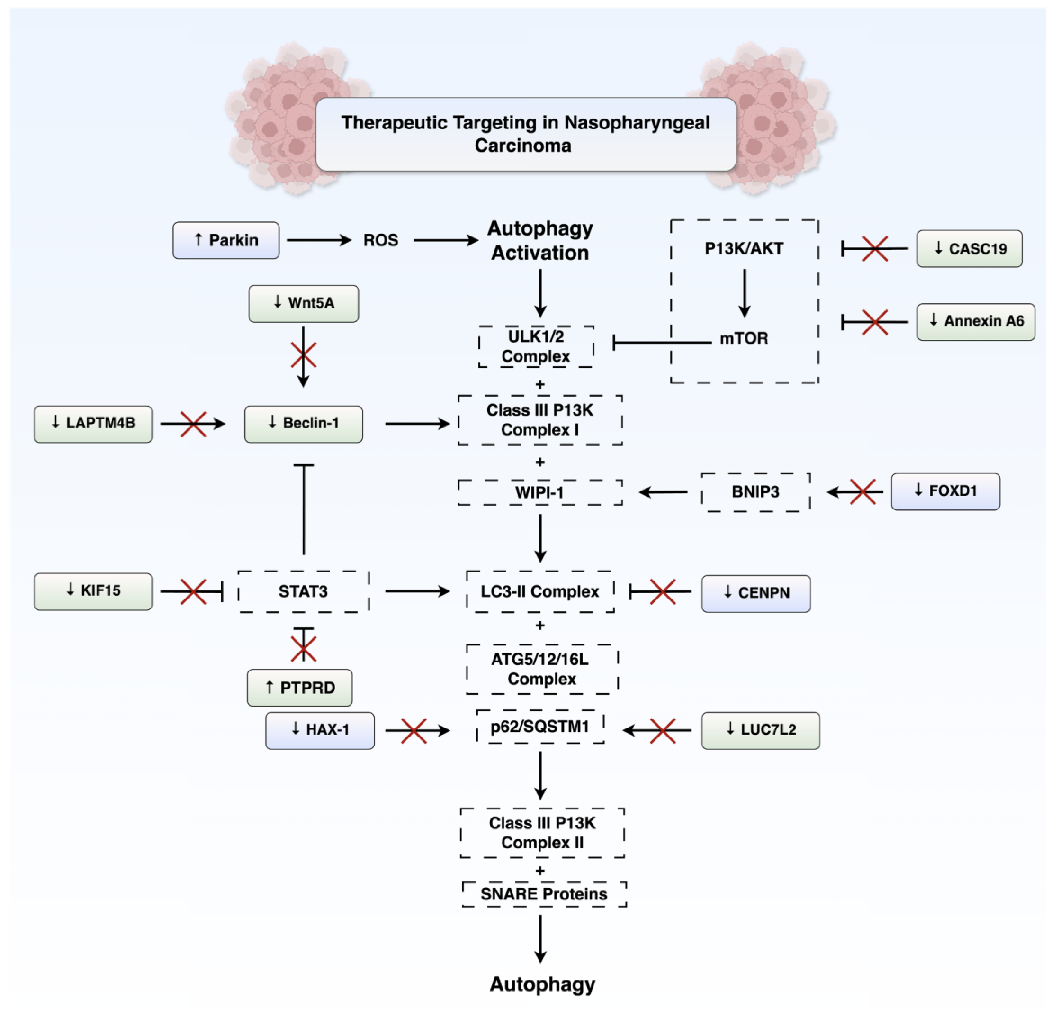 Preprints 168394 g004