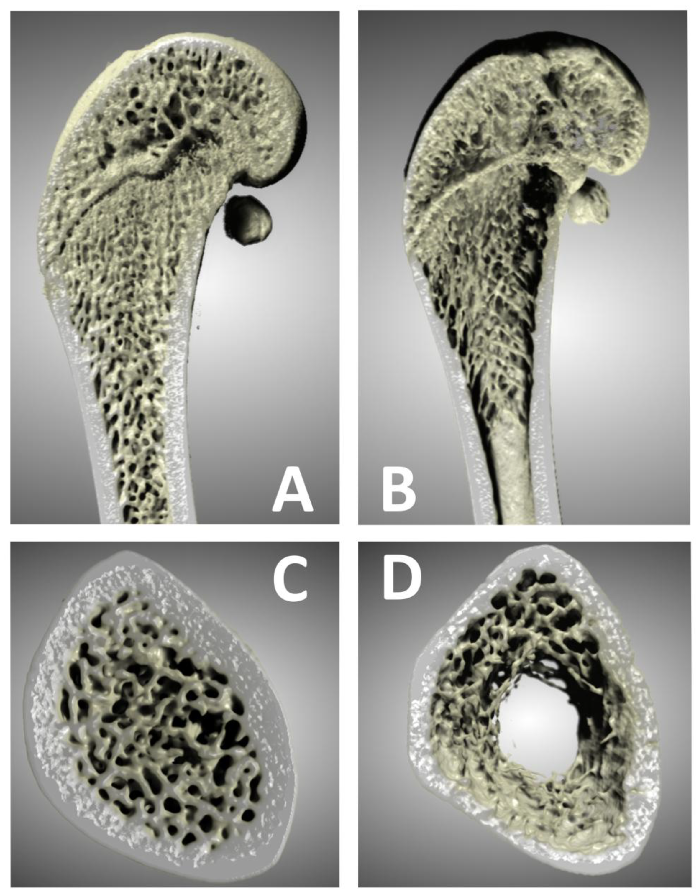Preprints 188717 g001