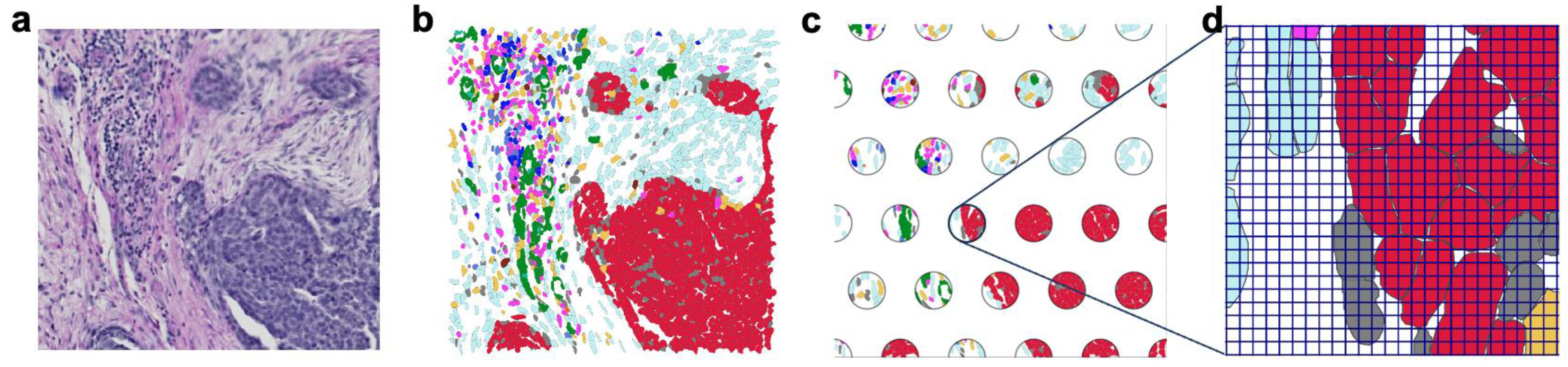 Preprints 156176 g002