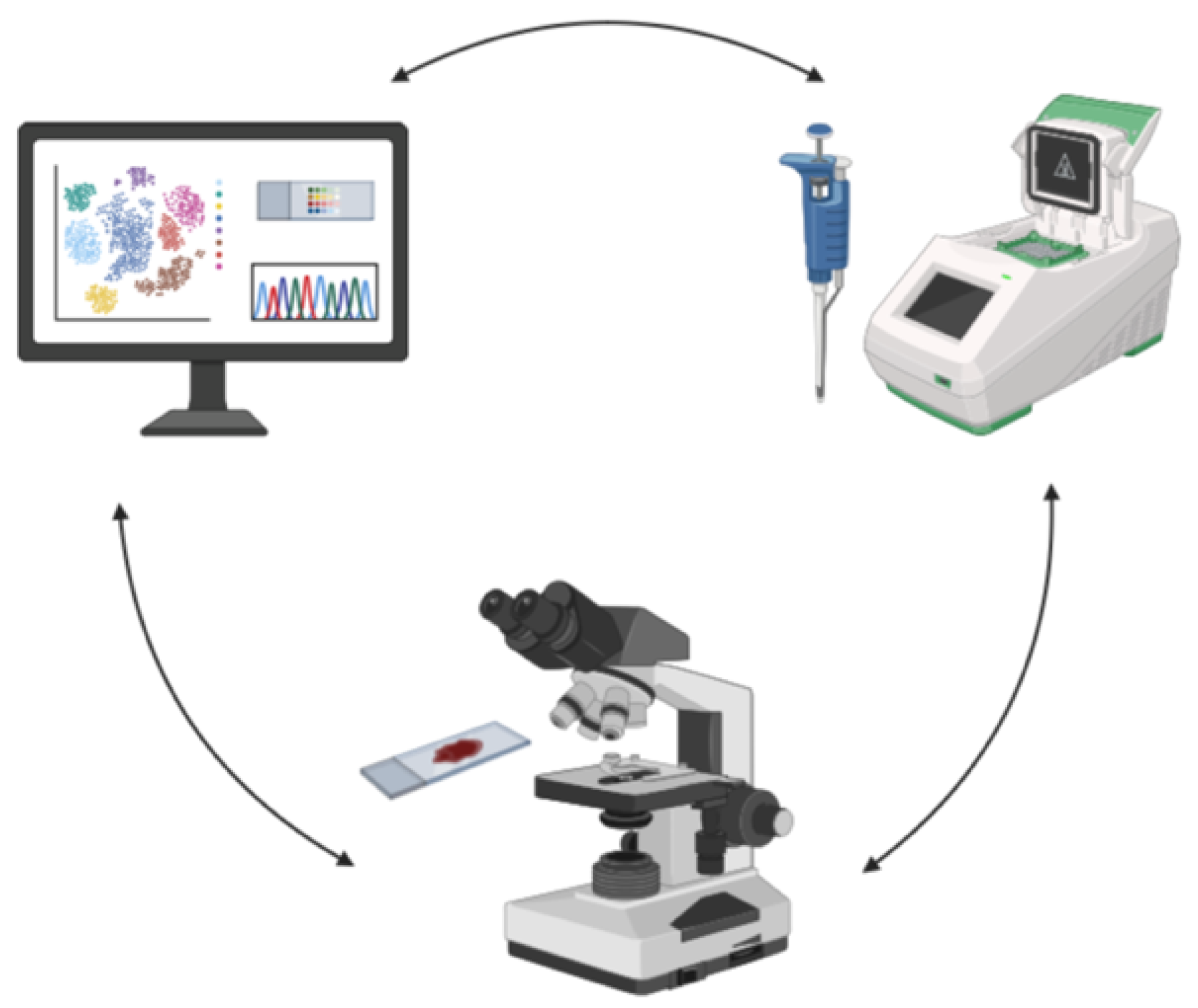 Preprints 156176 g003
