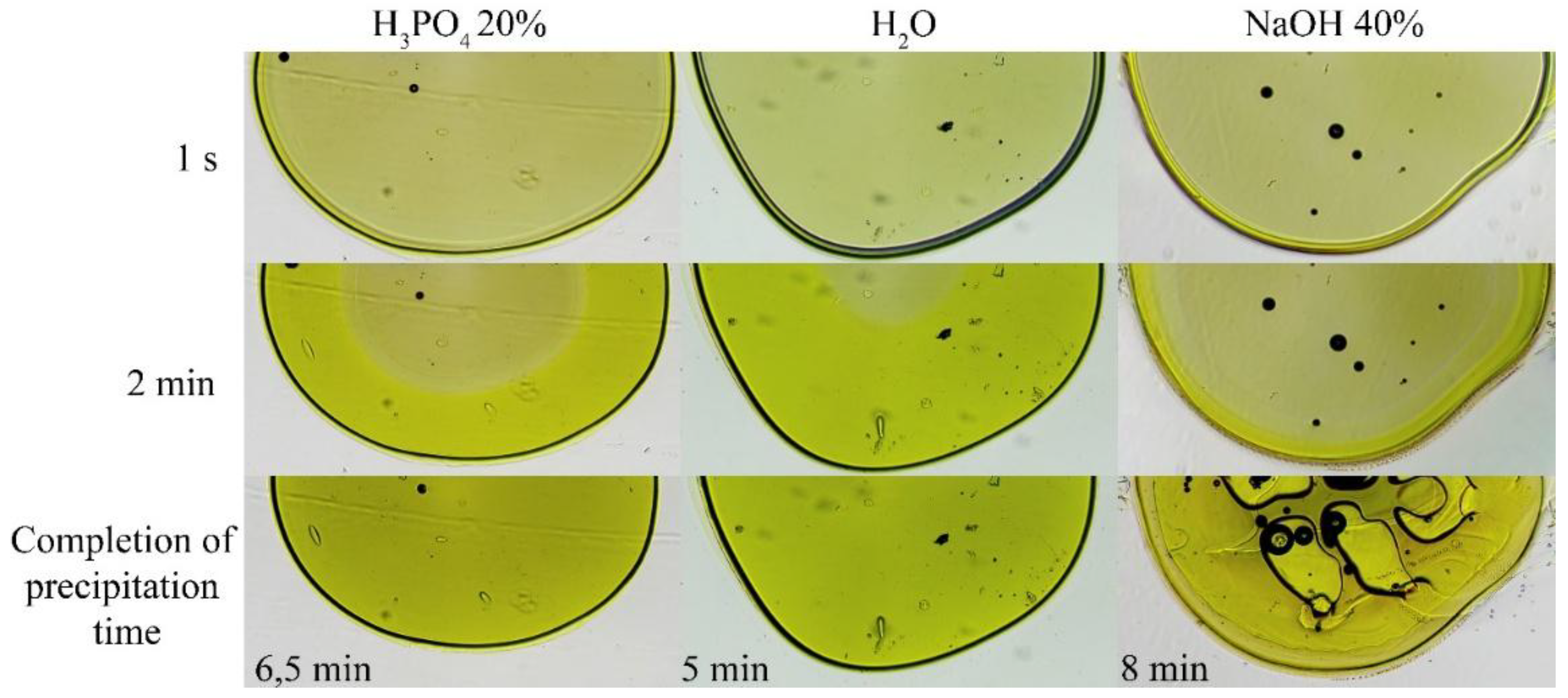 Preprints 172171 g007