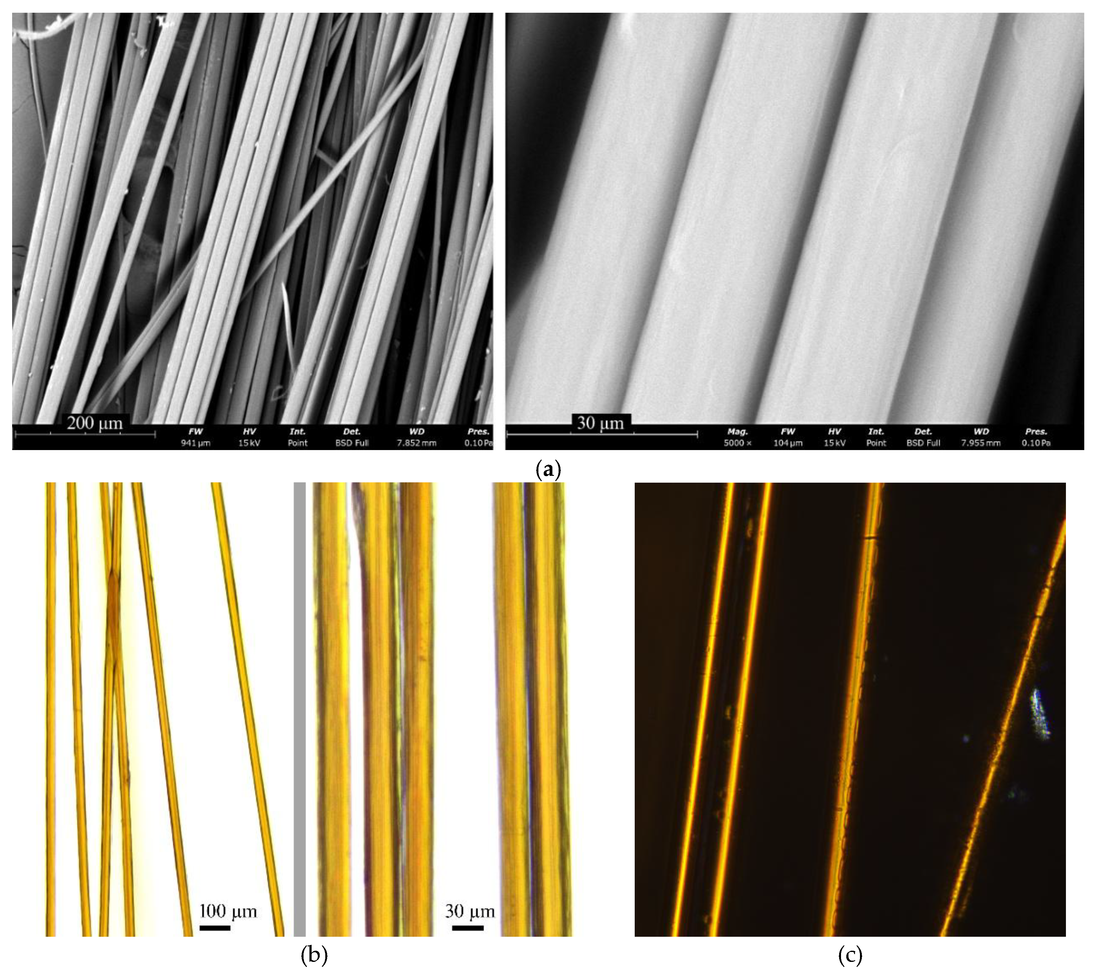 Preprints 172171 g010