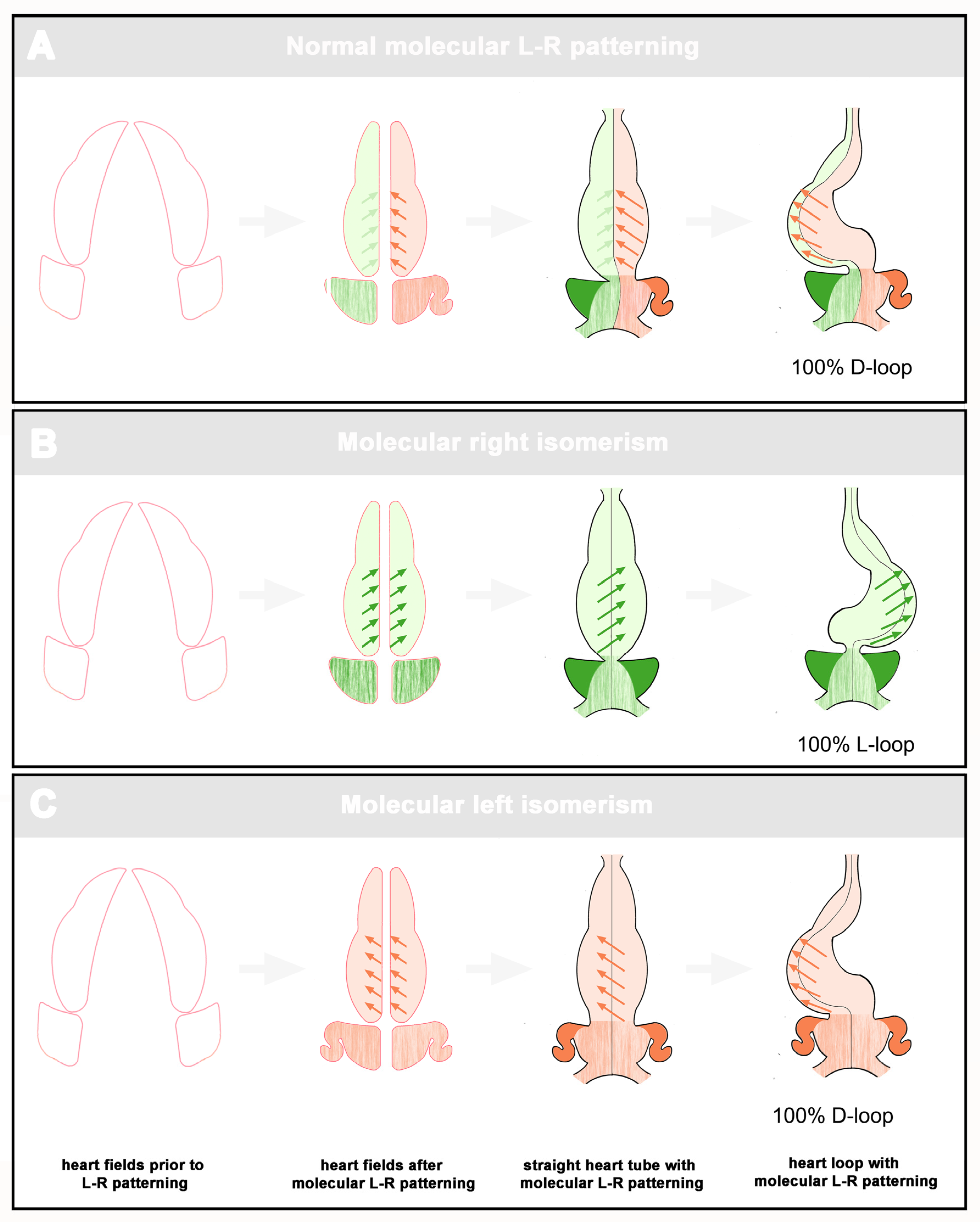 Preprints 165037 g002