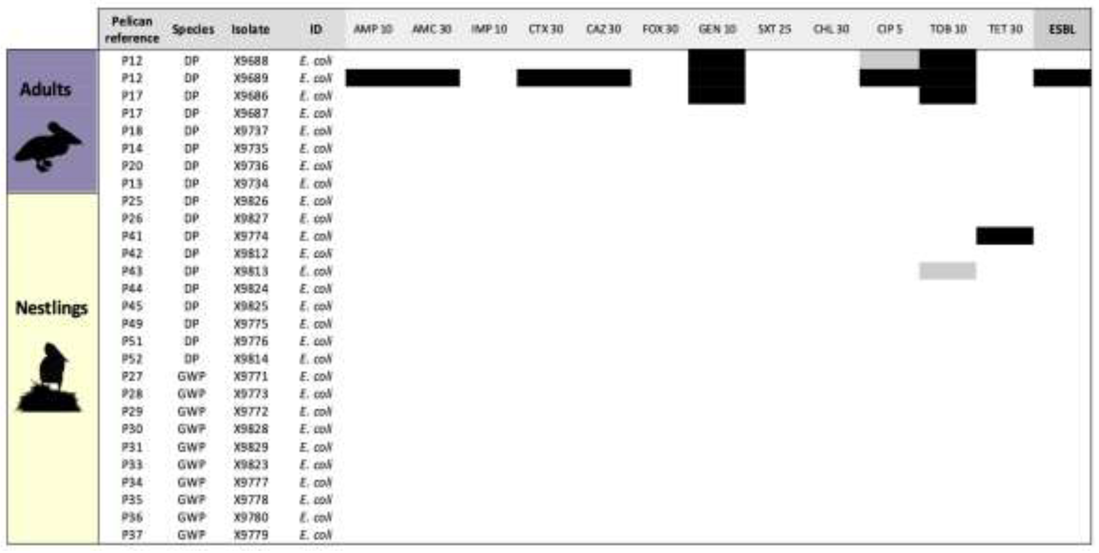 Preprints 140283 g001