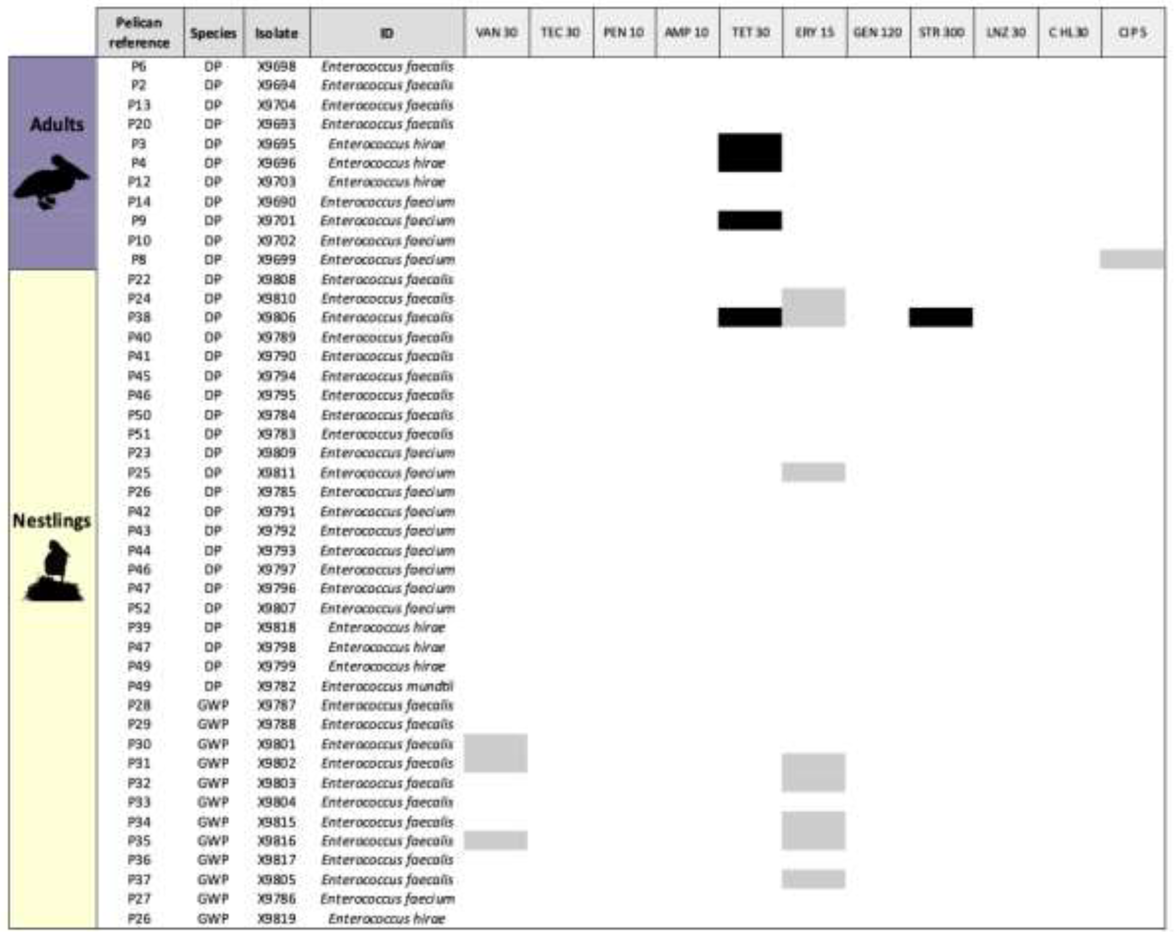 Preprints 140283 g002