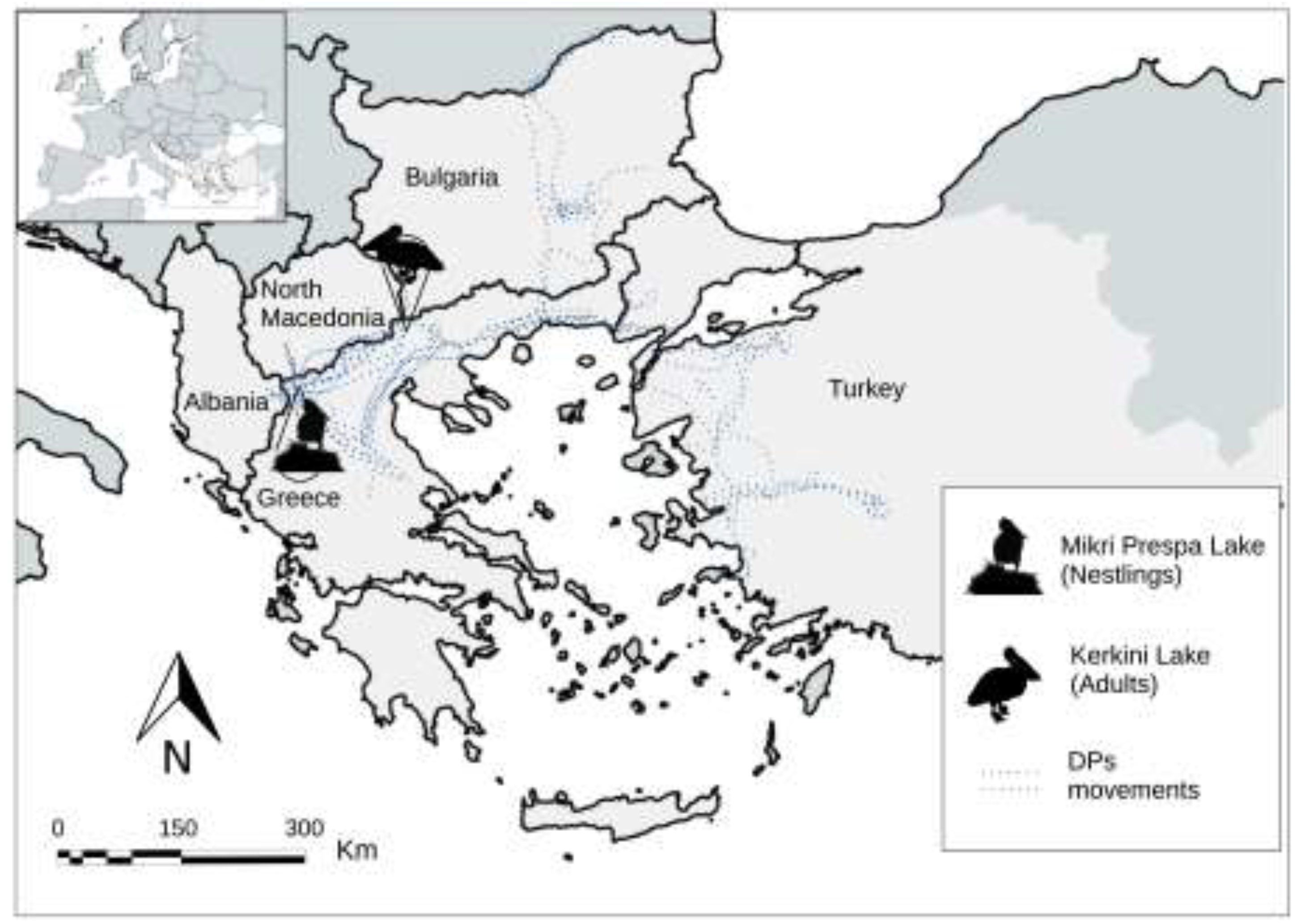 Preprints 140283 g004