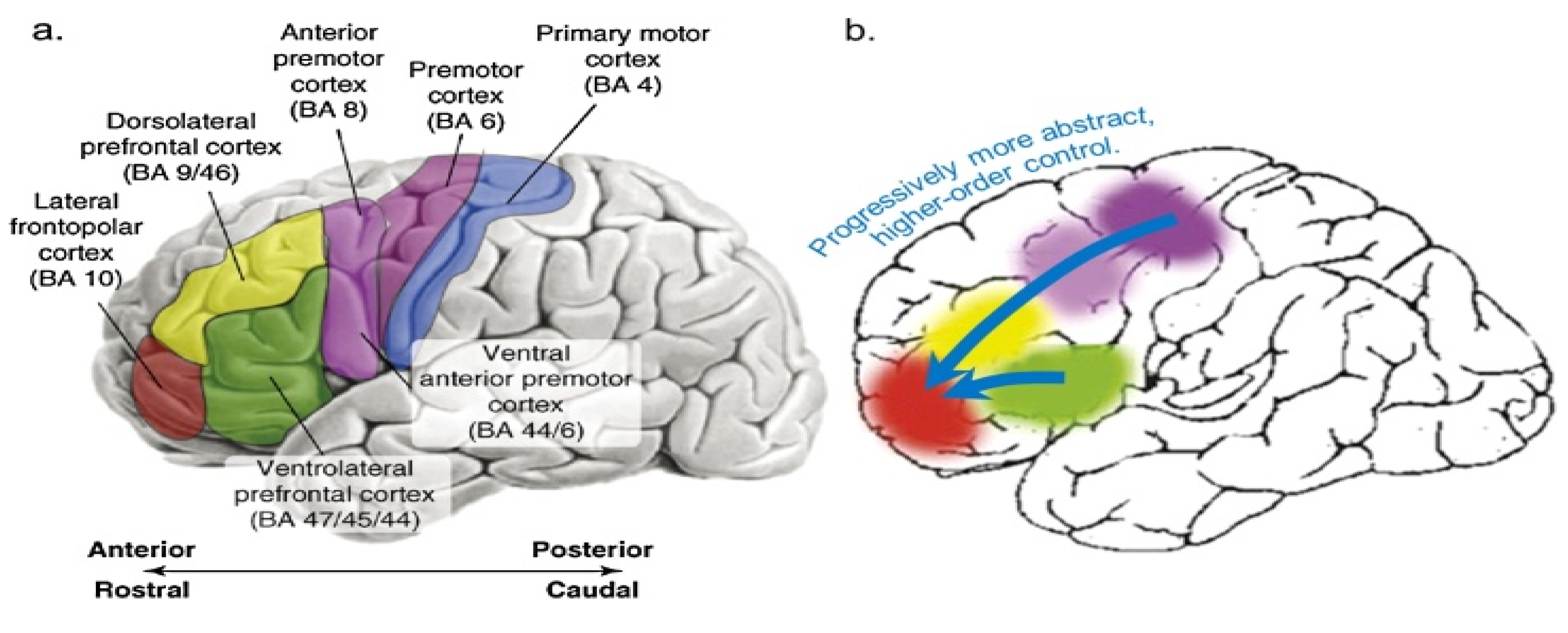 Preprints 89134 g002