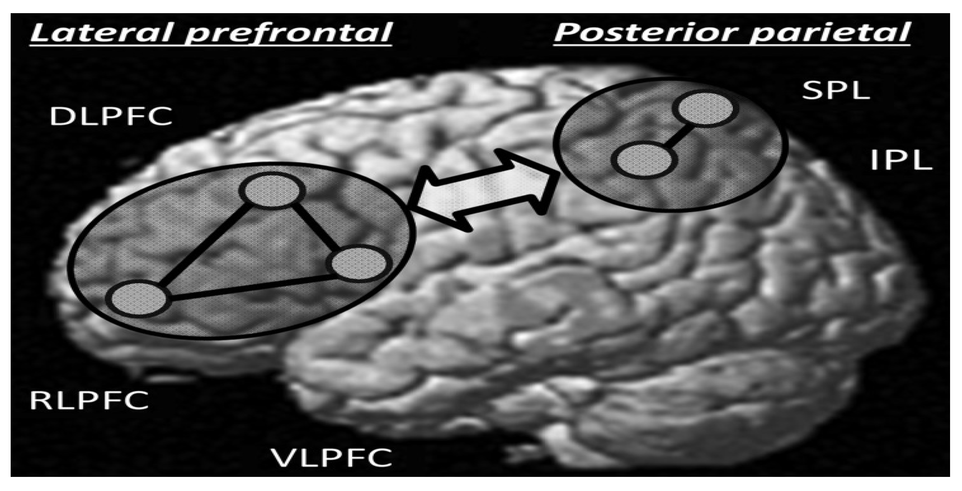 Preprints 89134 g003