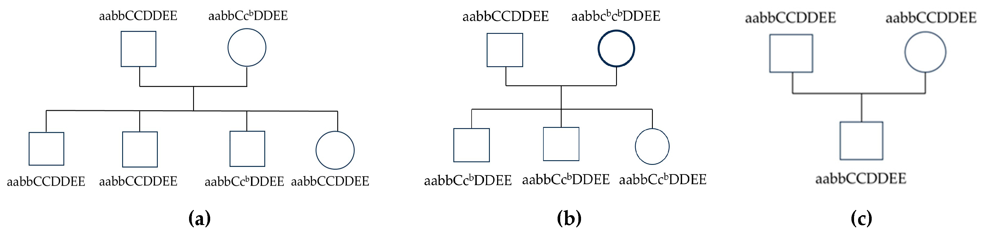 Preprints 172405 g003