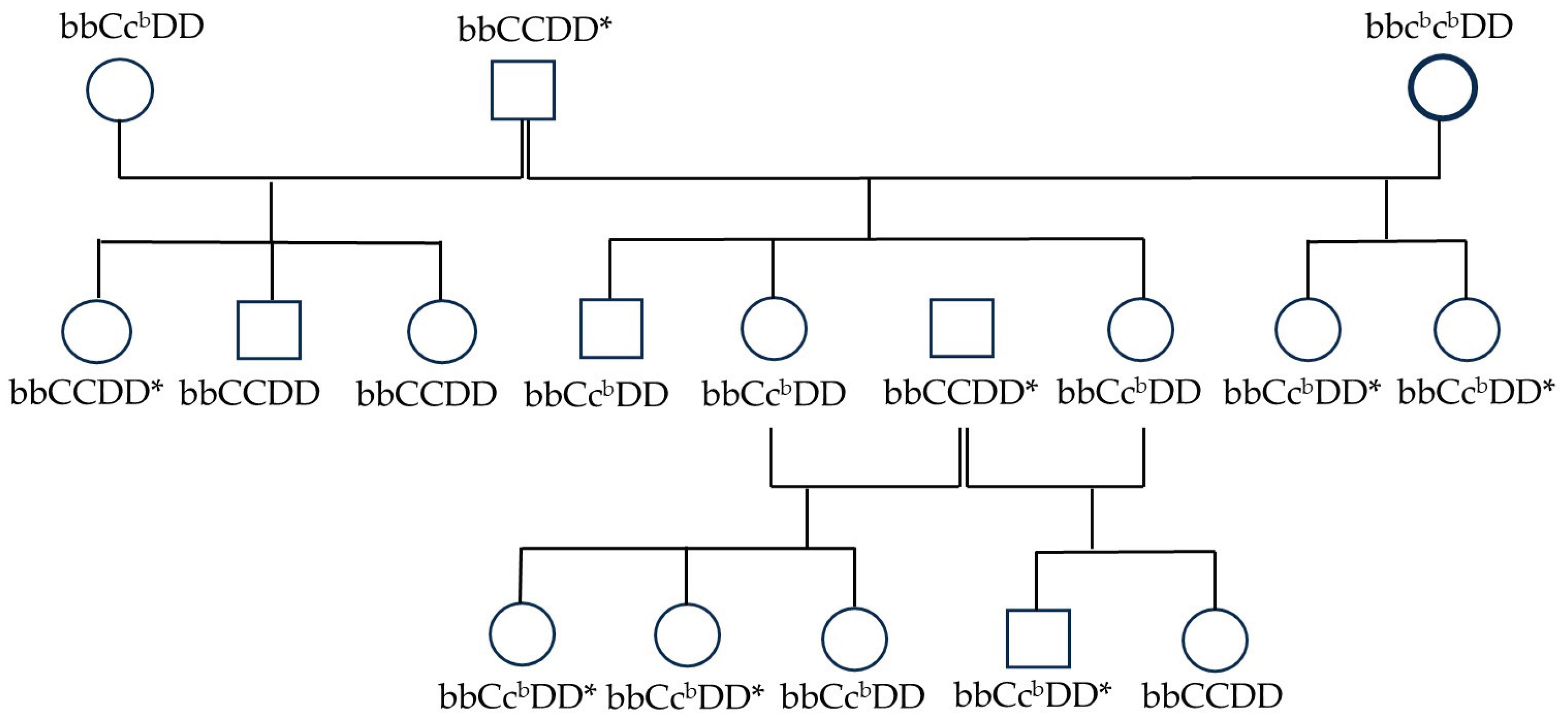 Preprints 172405 g005
