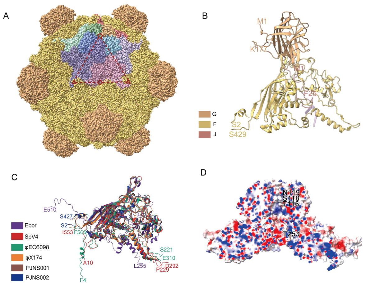 Preprints 238695 g002 Preprints 238695 g002
