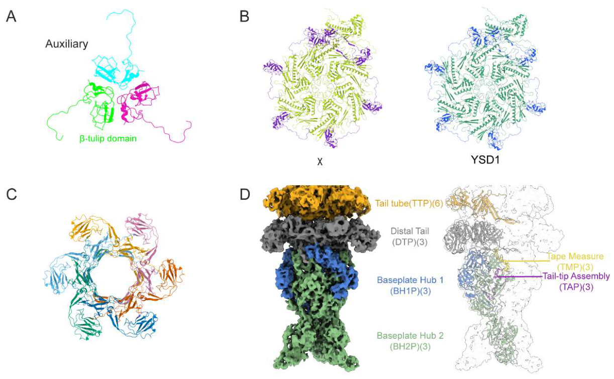 Preprints 238695 g004 Preprints 238695 g004