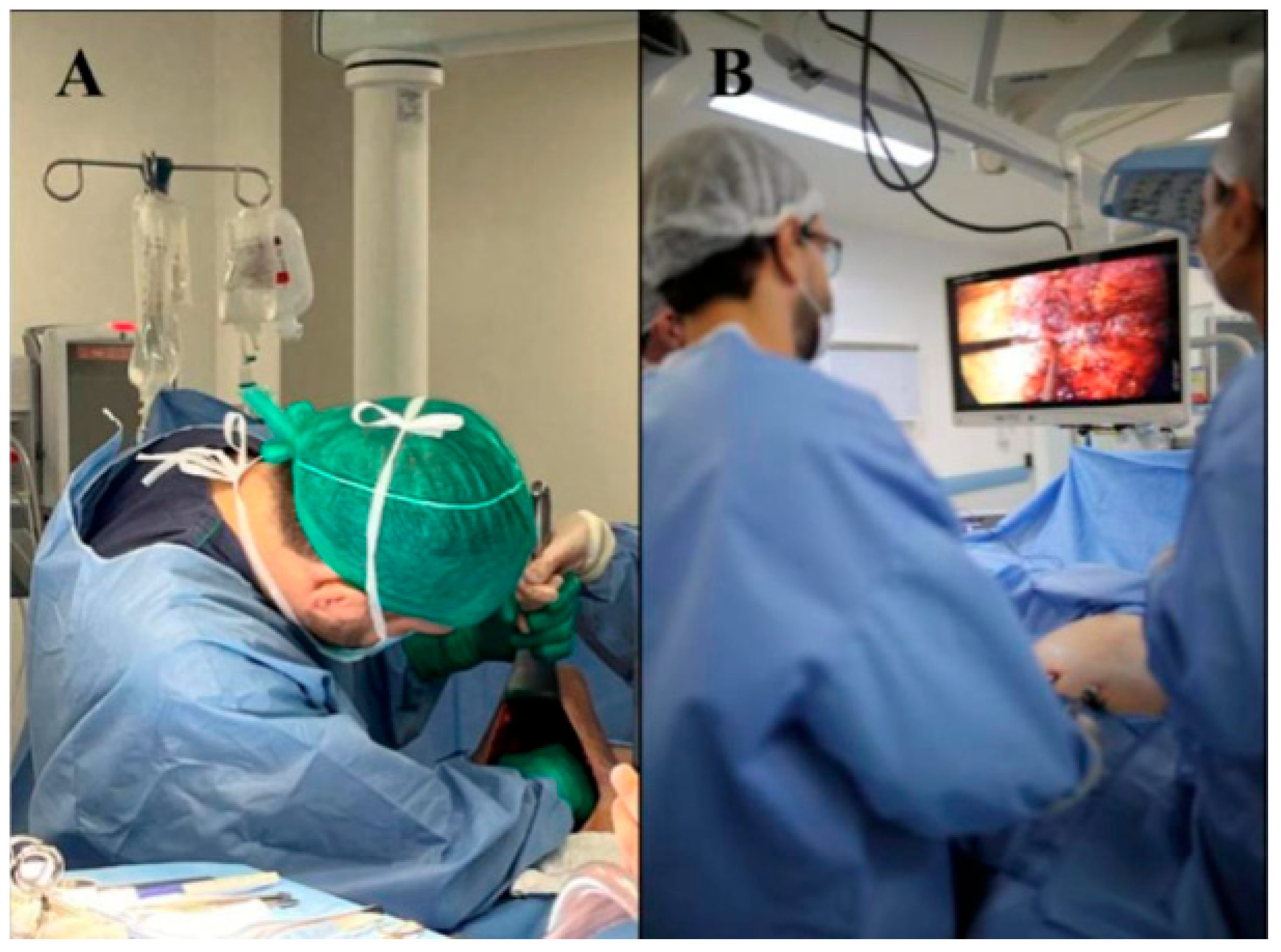 Preprints 153445 g003