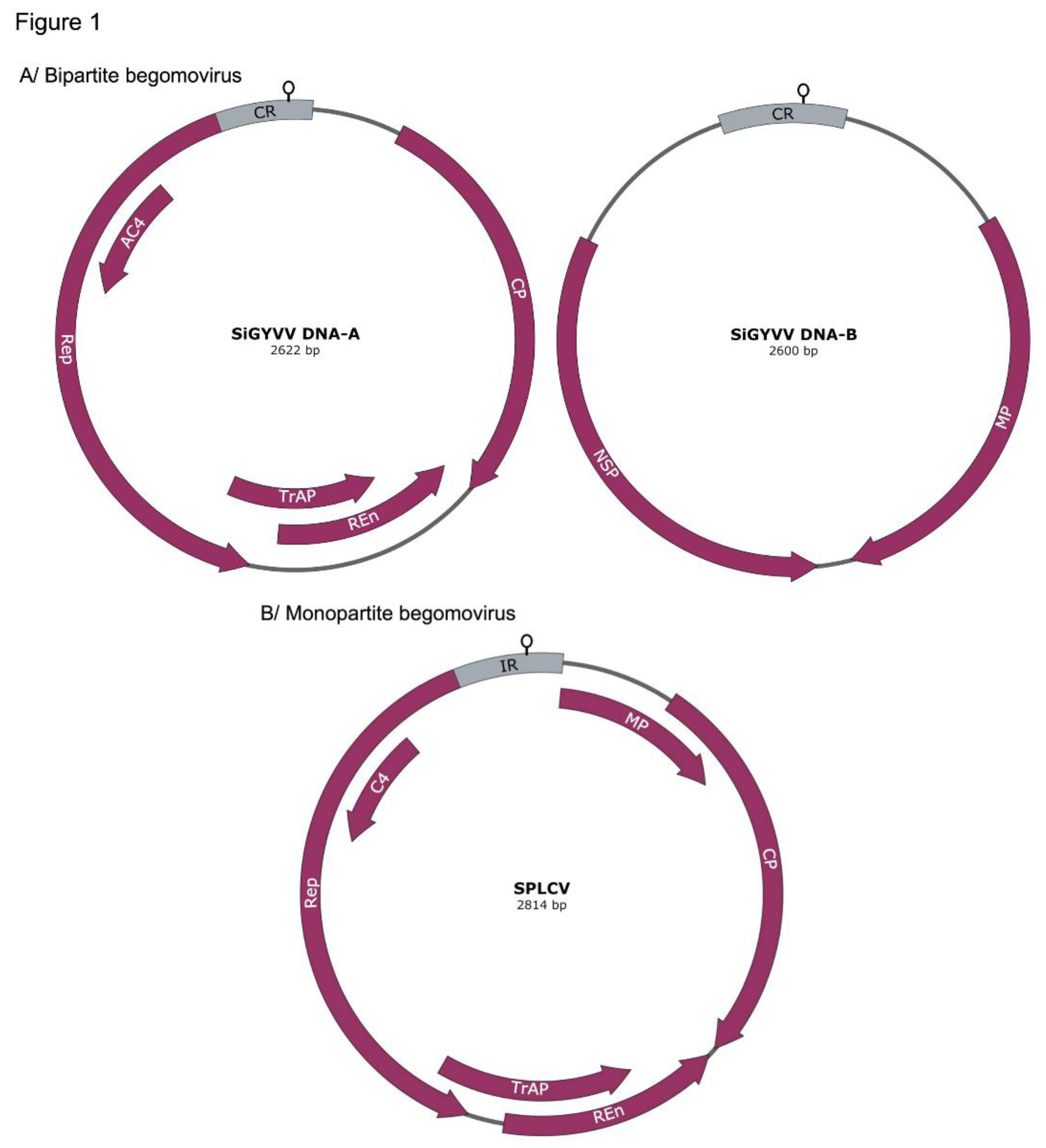 Preprints 163573 g001
