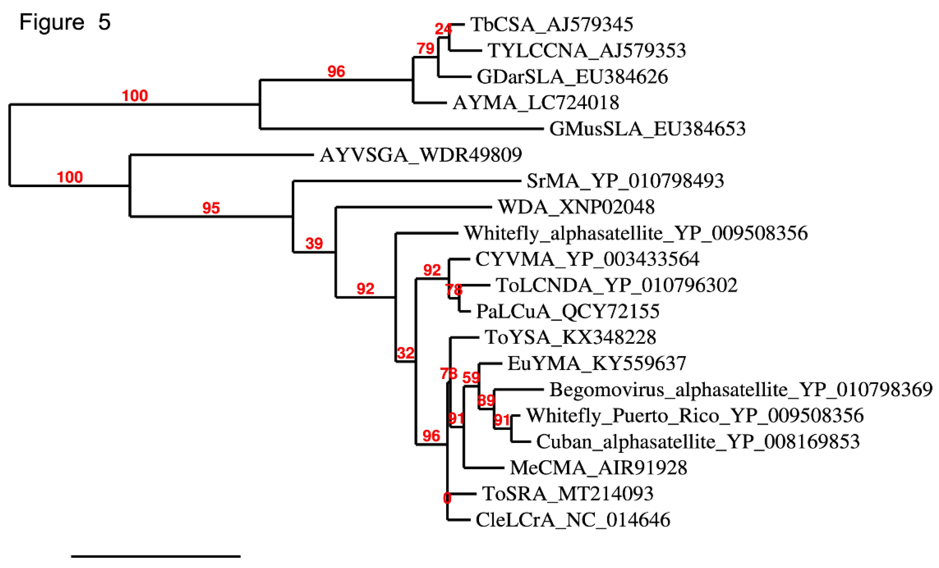 Preprints 163573 g005