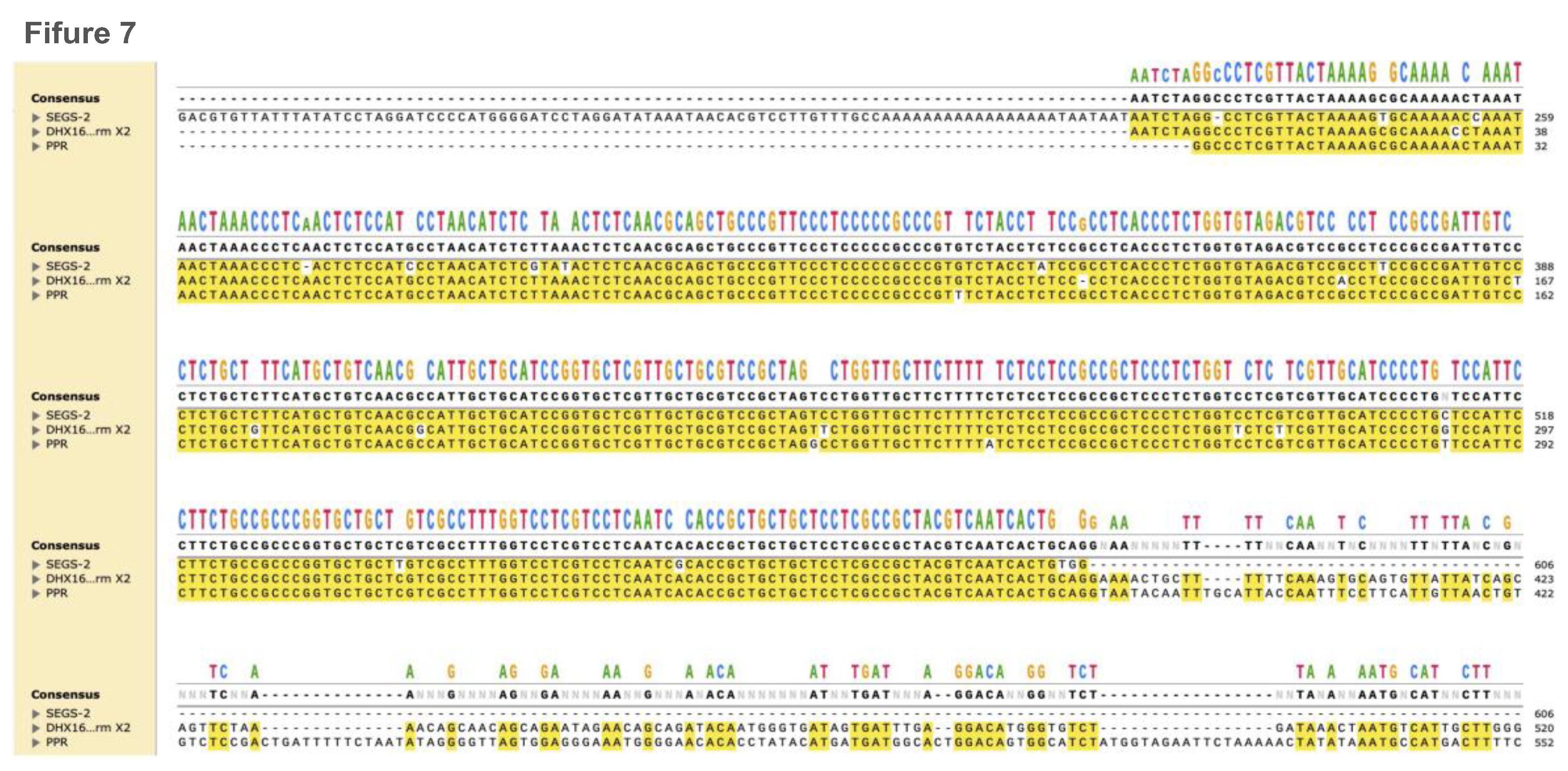 Preprints 163573 g007