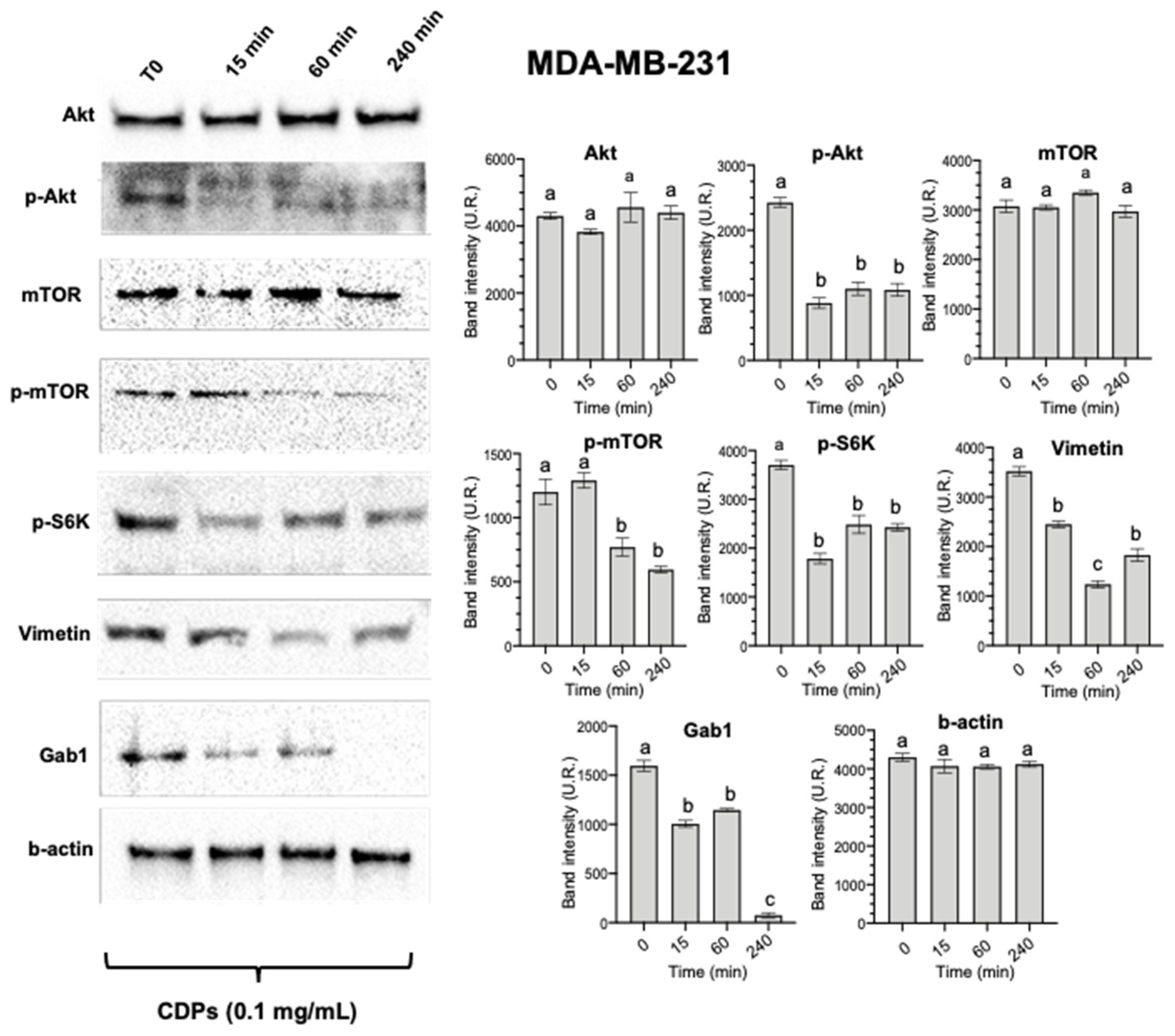 Preprints 152205 g002