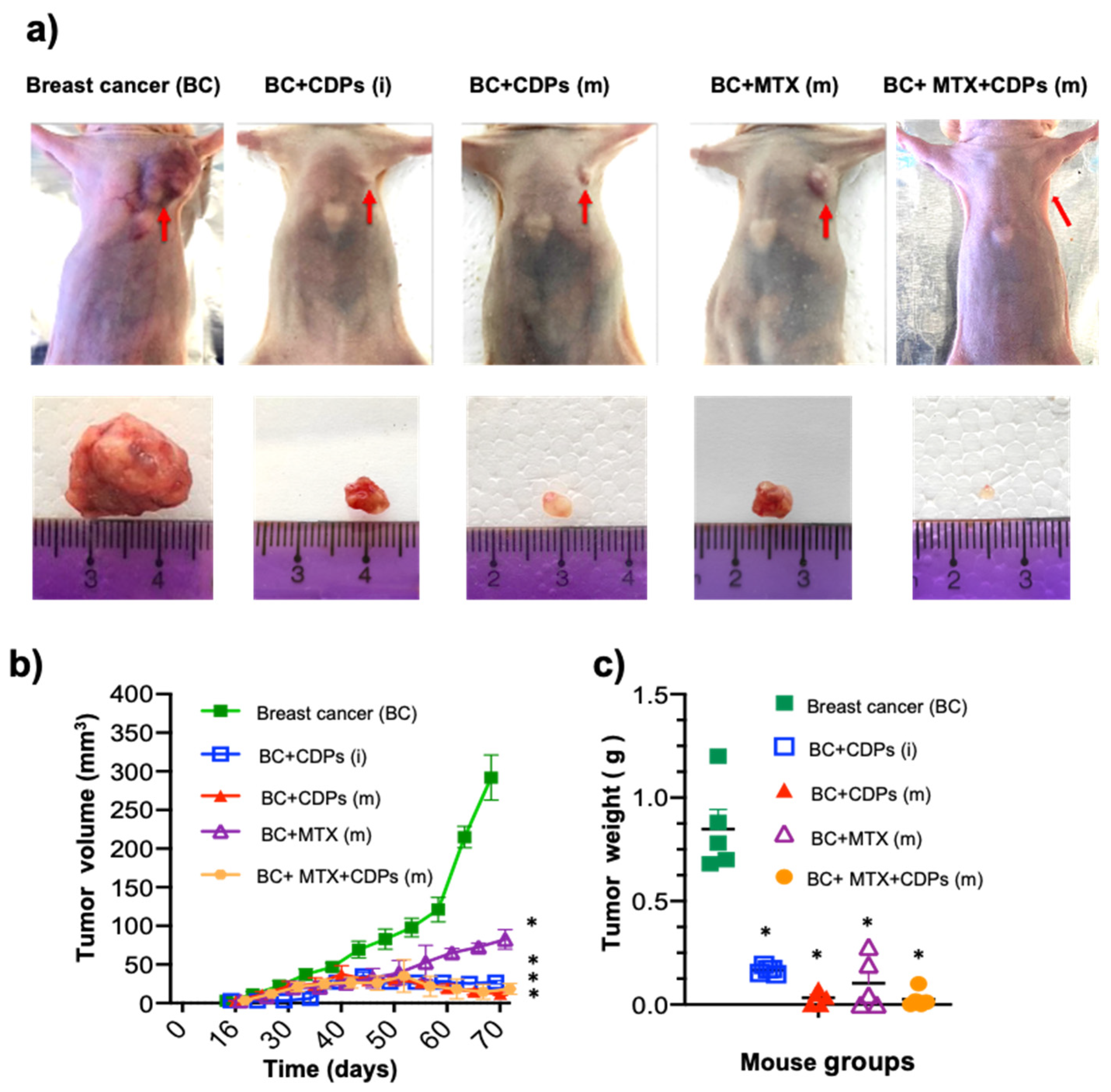 Preprints 152205 g004