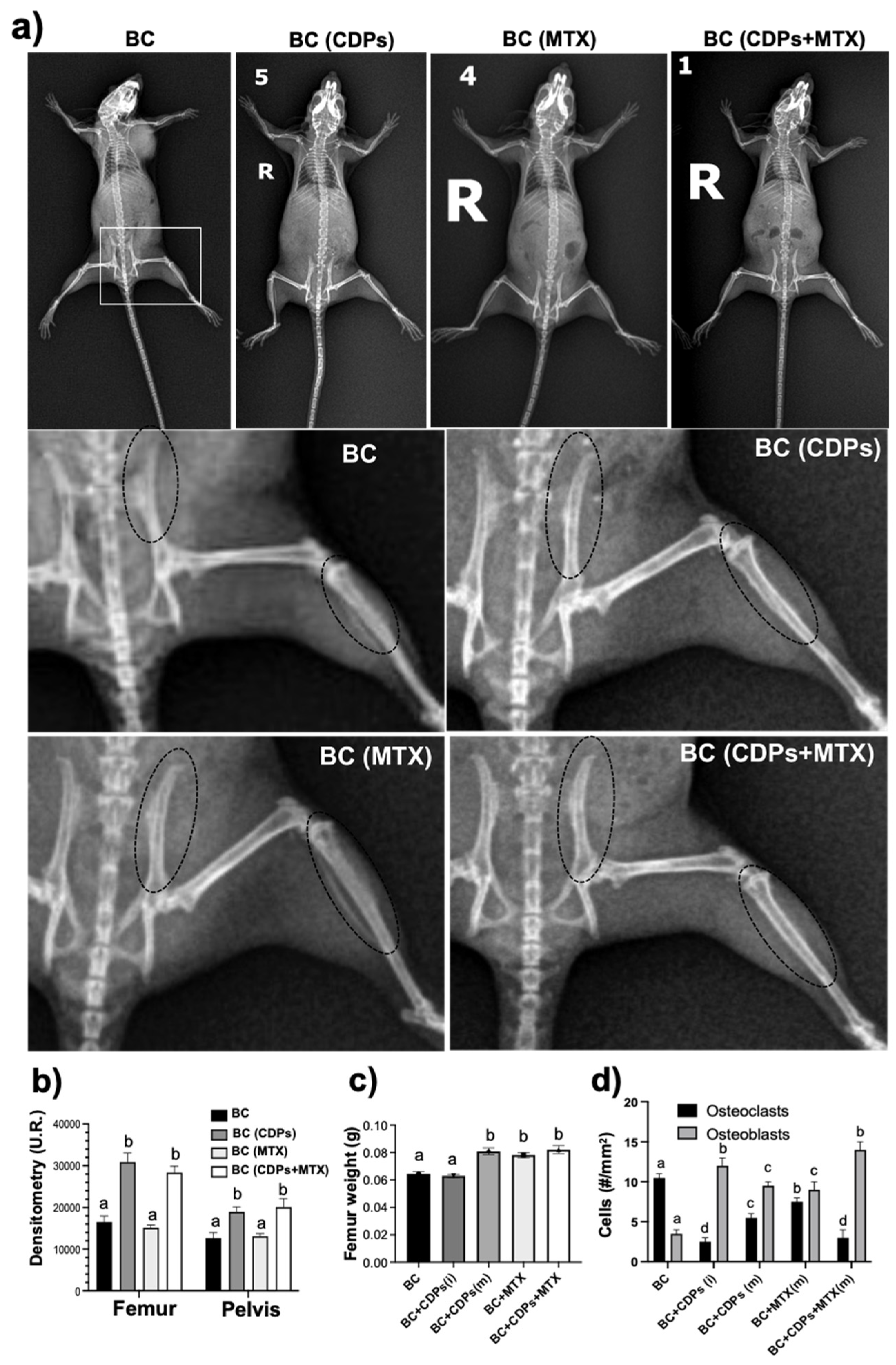 Preprints 152205 g007