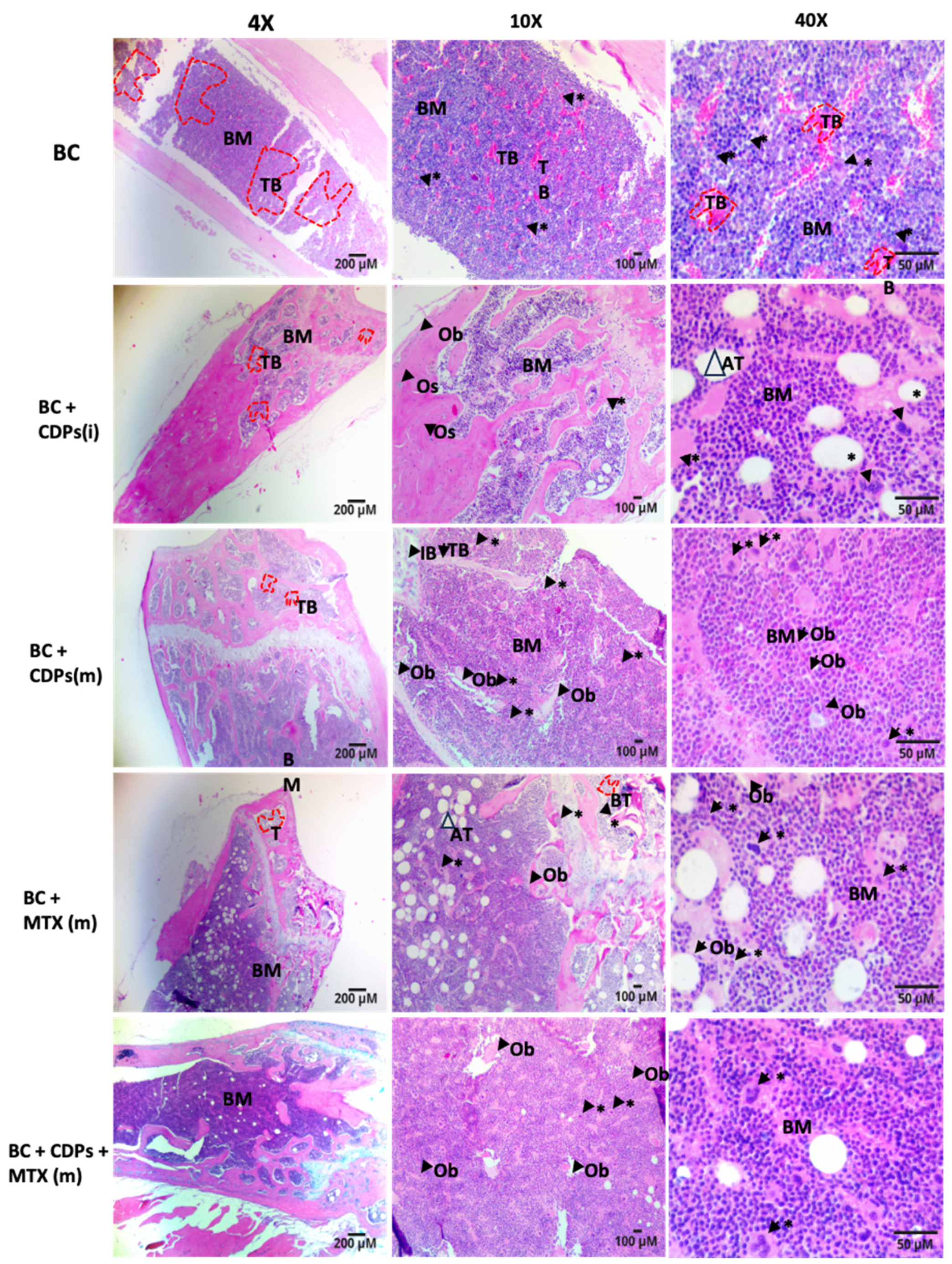 Preprints 152205 g008
