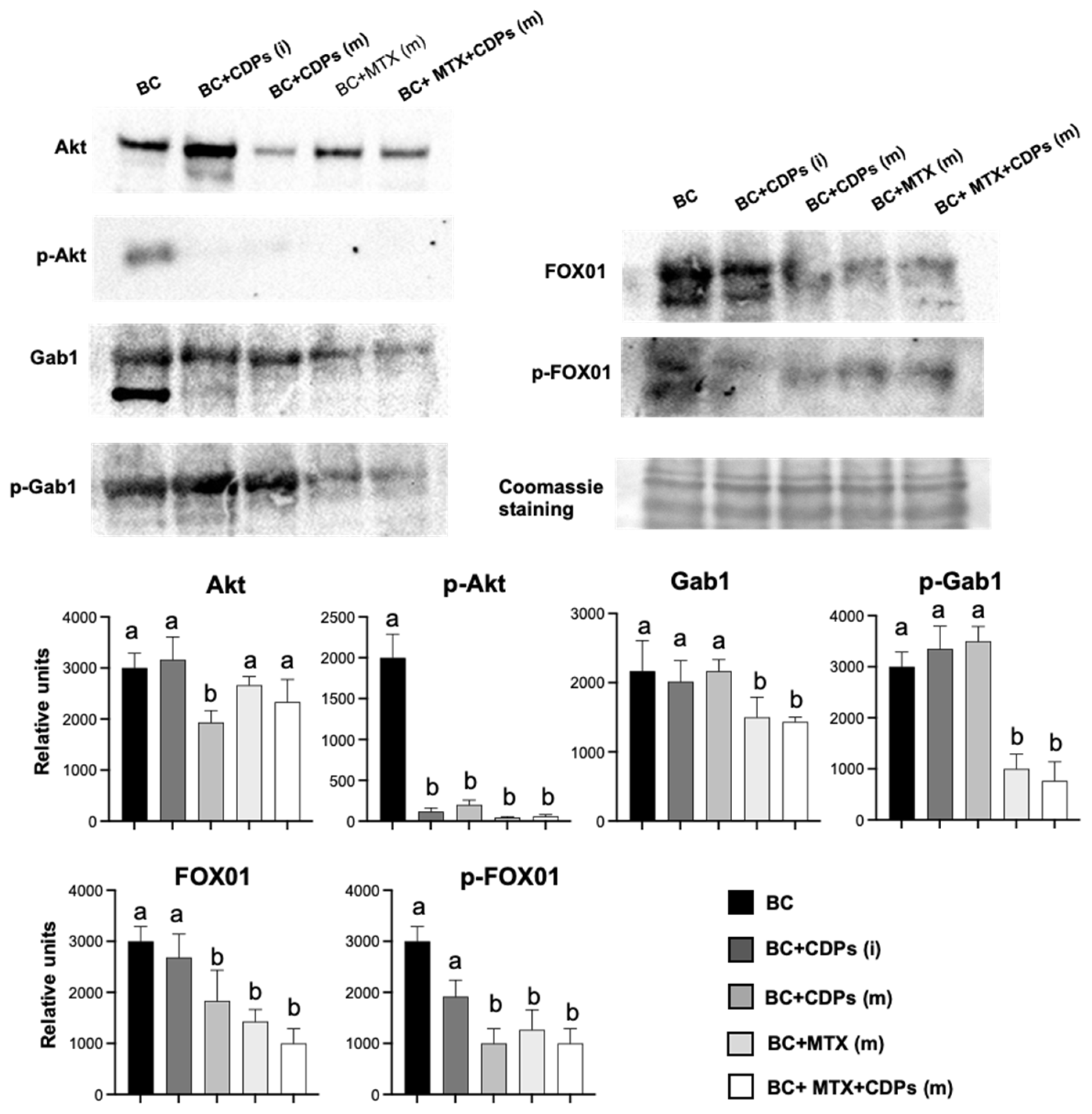 Preprints 152205 g009